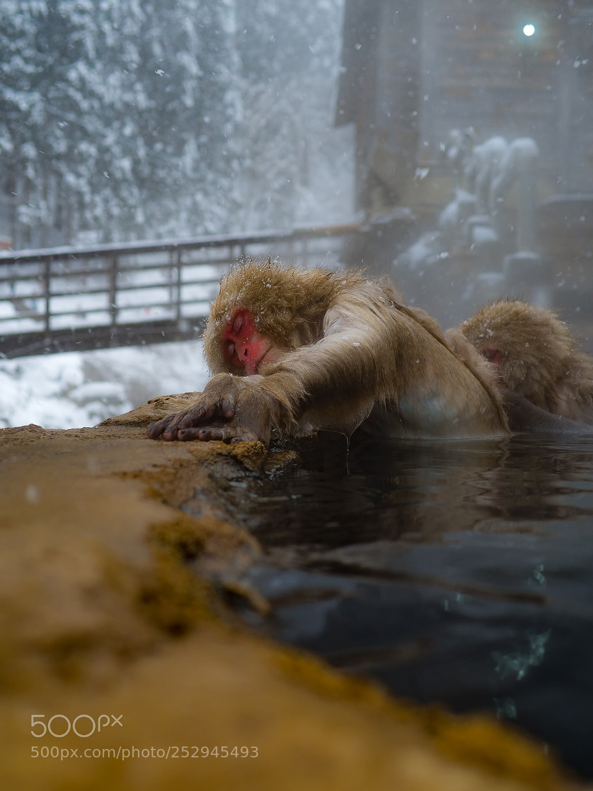 Olympus OM-D E-M10 sample photo. A moment of relaxation photography