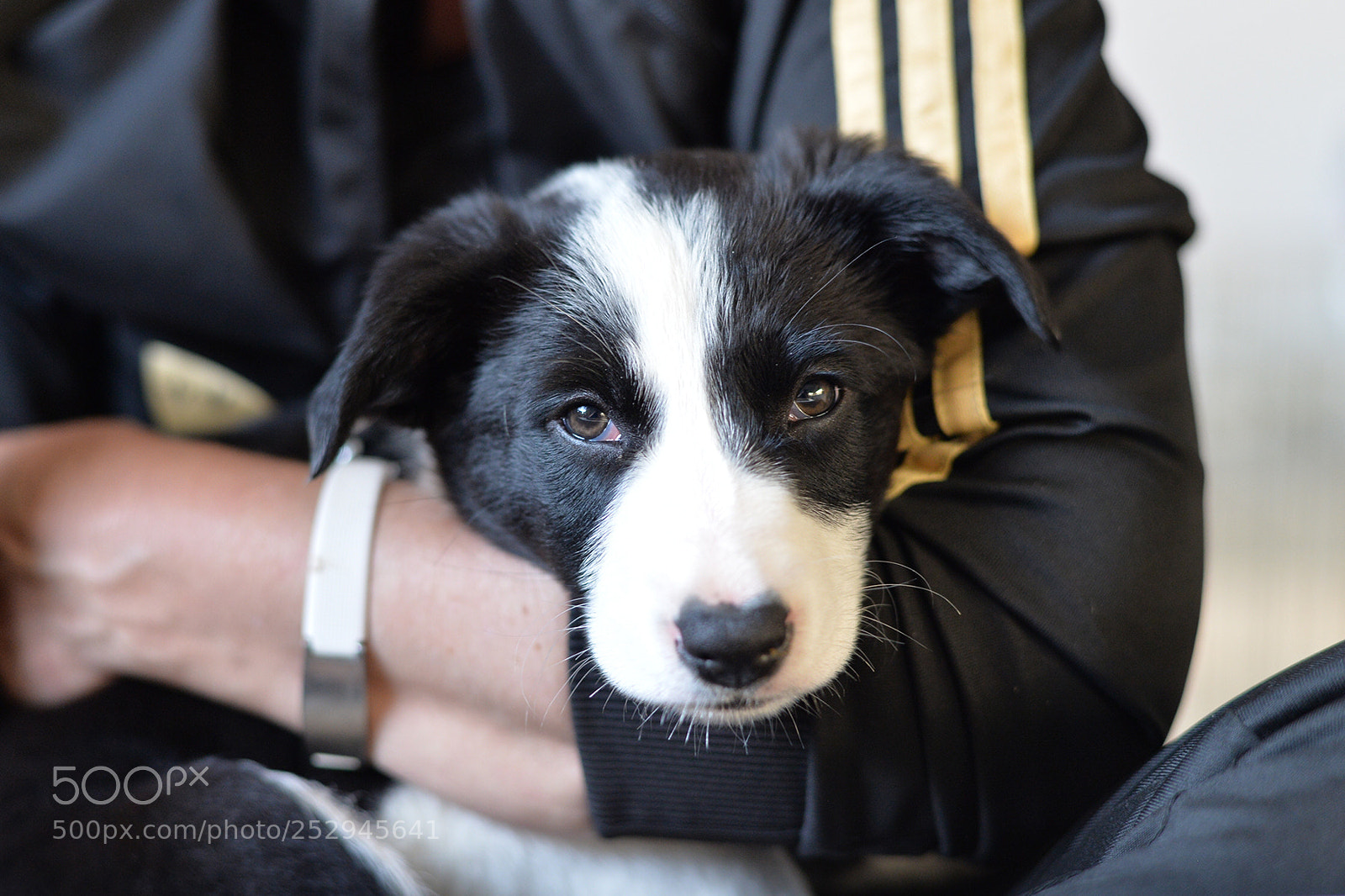 Nikon Df sample photo. Hermiona photography