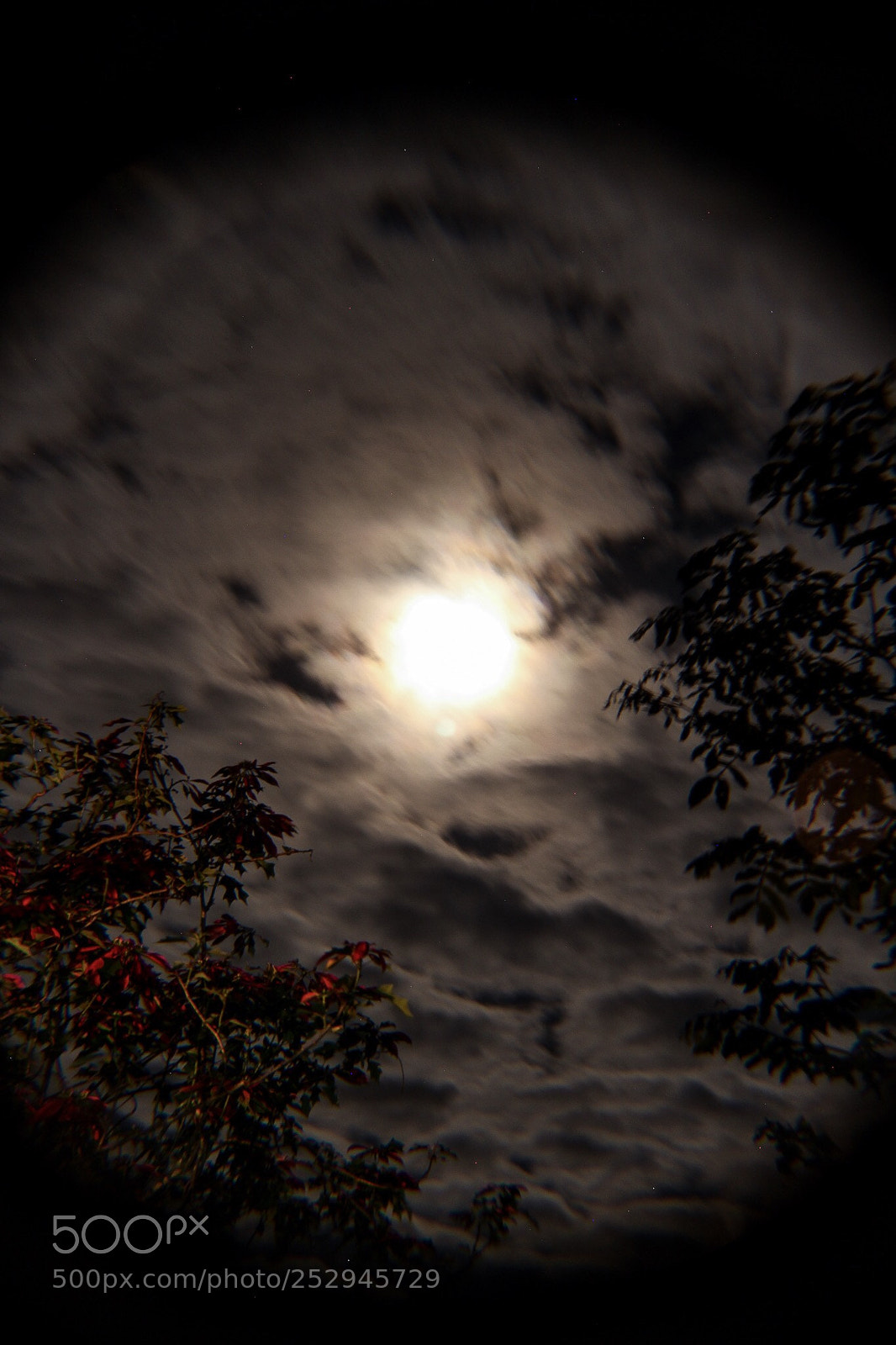 Canon EOS 650D (EOS Rebel T4i / EOS Kiss X6i) sample photo. Moonlight  photography