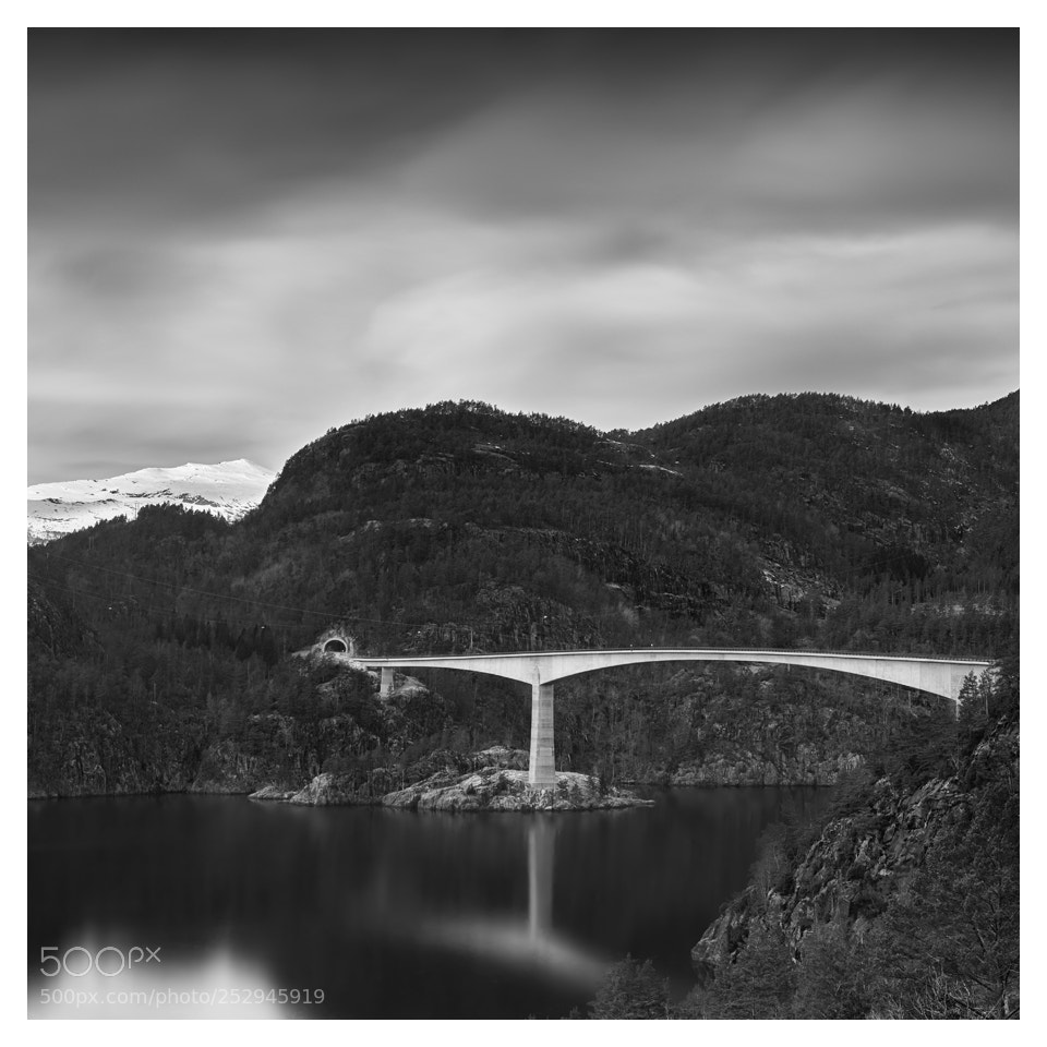 Nikon D800 sample photo. Fjord crossing photography