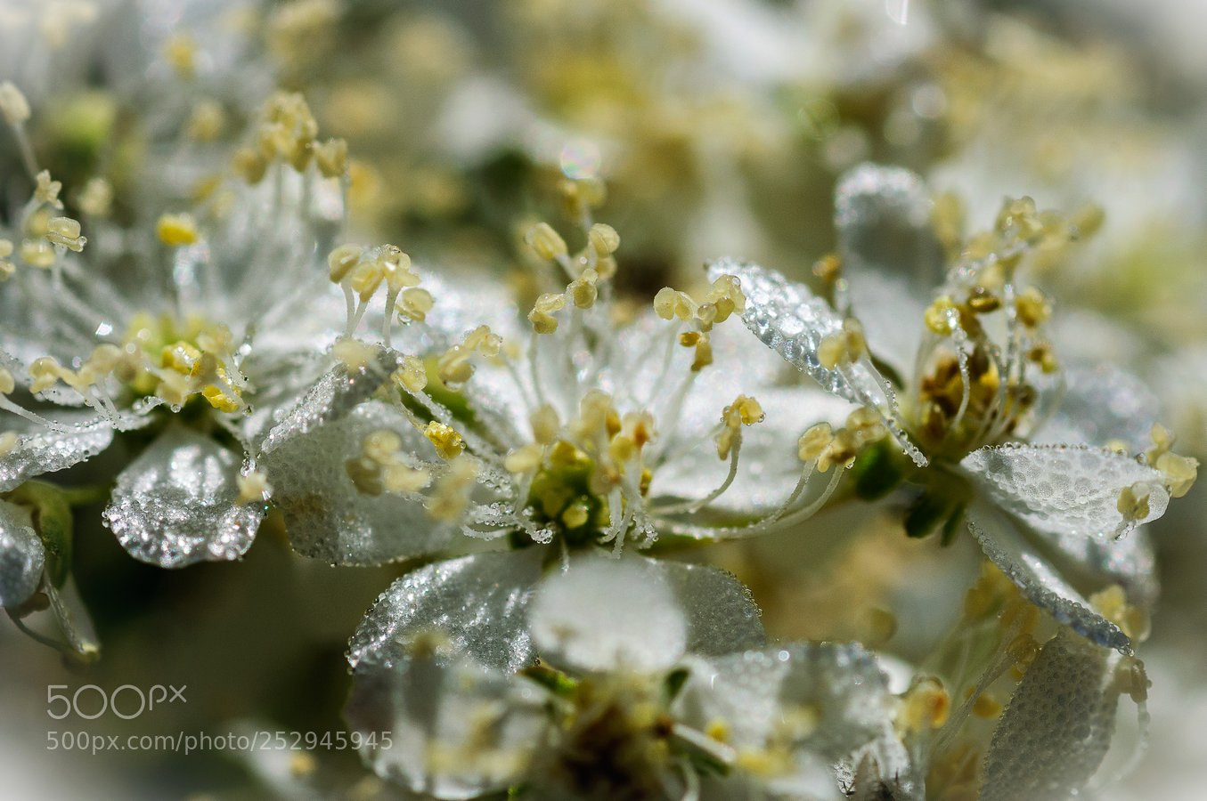 Nikon D90 sample photo. * photography