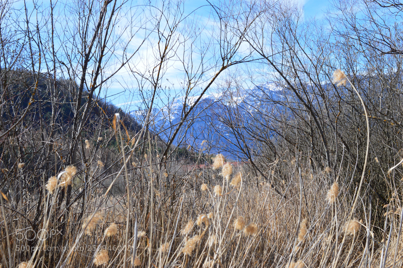 Nikon D3200 sample photo. Early spring photography
