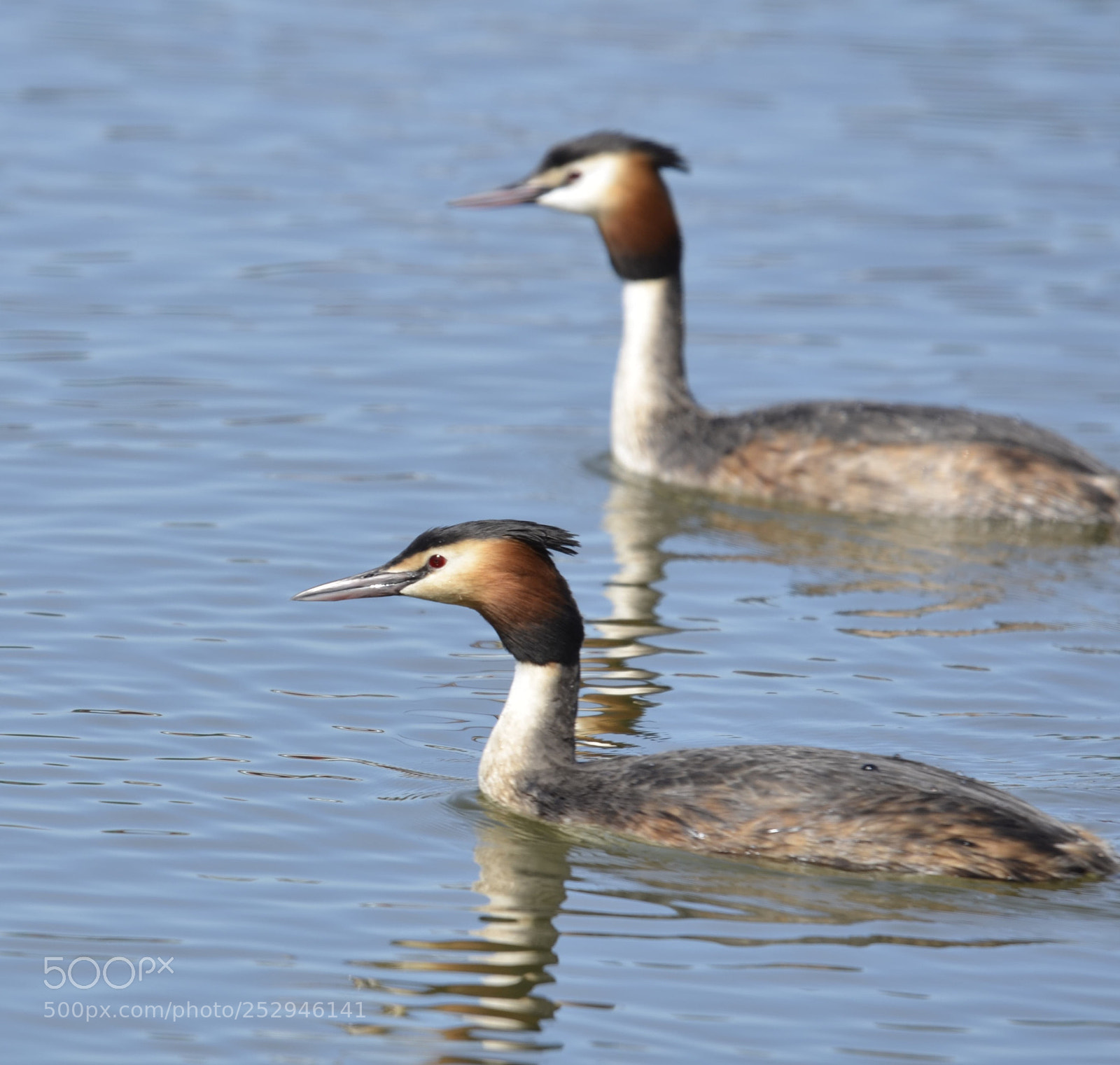 Nikon D7000 sample photo. Seeing double photography