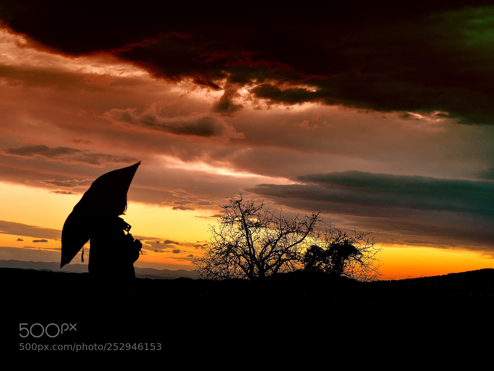 Nikon D610 sample photo. Waiting for the rain photography