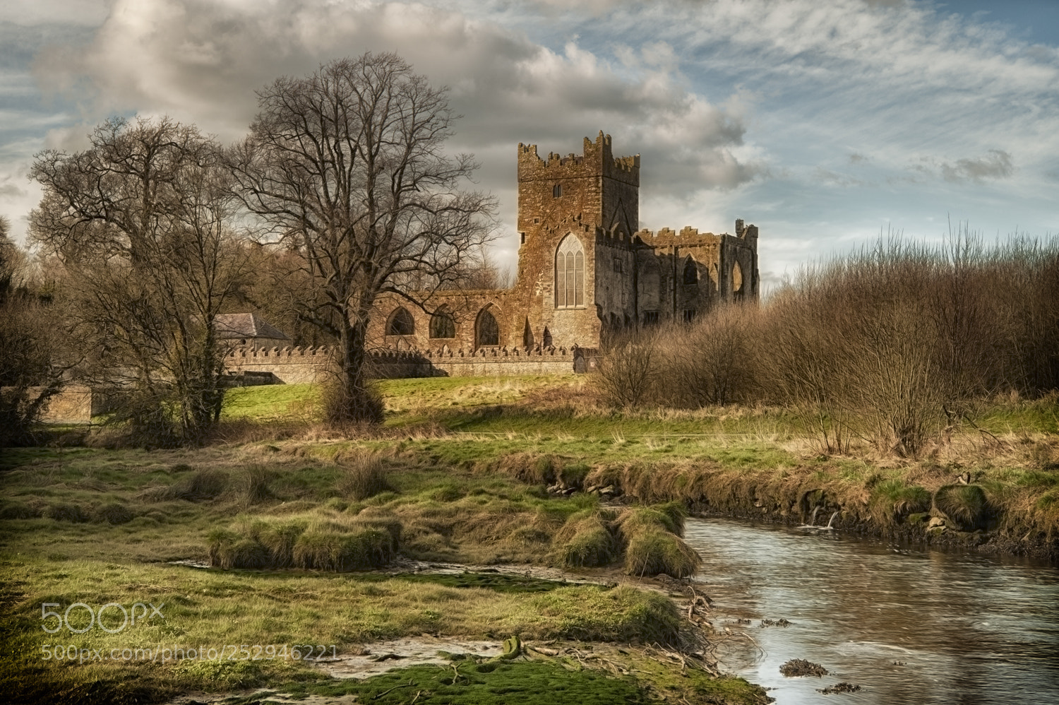 Nikon D700 sample photo. Tinturn abbey photography