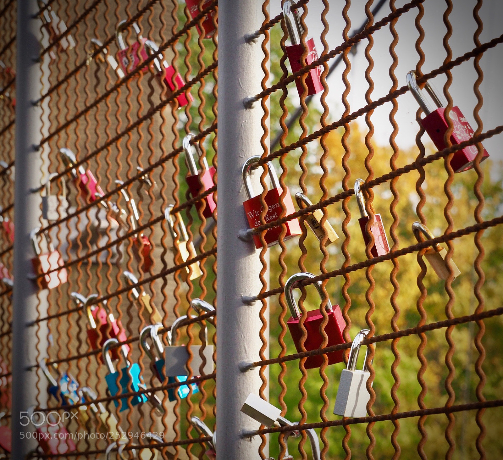Olympus OM-D E-M10 II sample photo. 4 ever photography