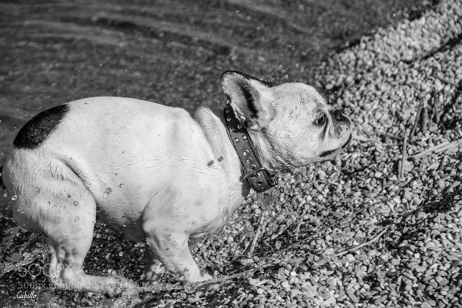 Nikon D7100 sample photo. Kokino saliendo del agua photography