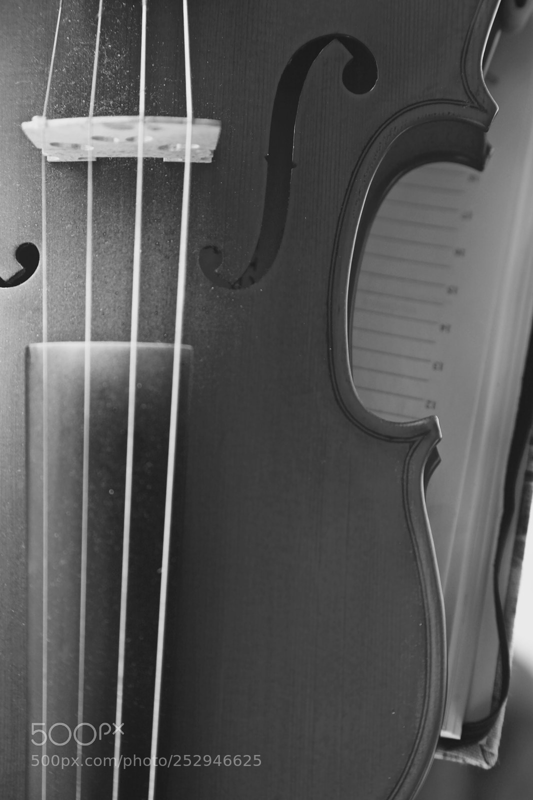Canon EOS 5D Mark II sample photo. Violin photography
