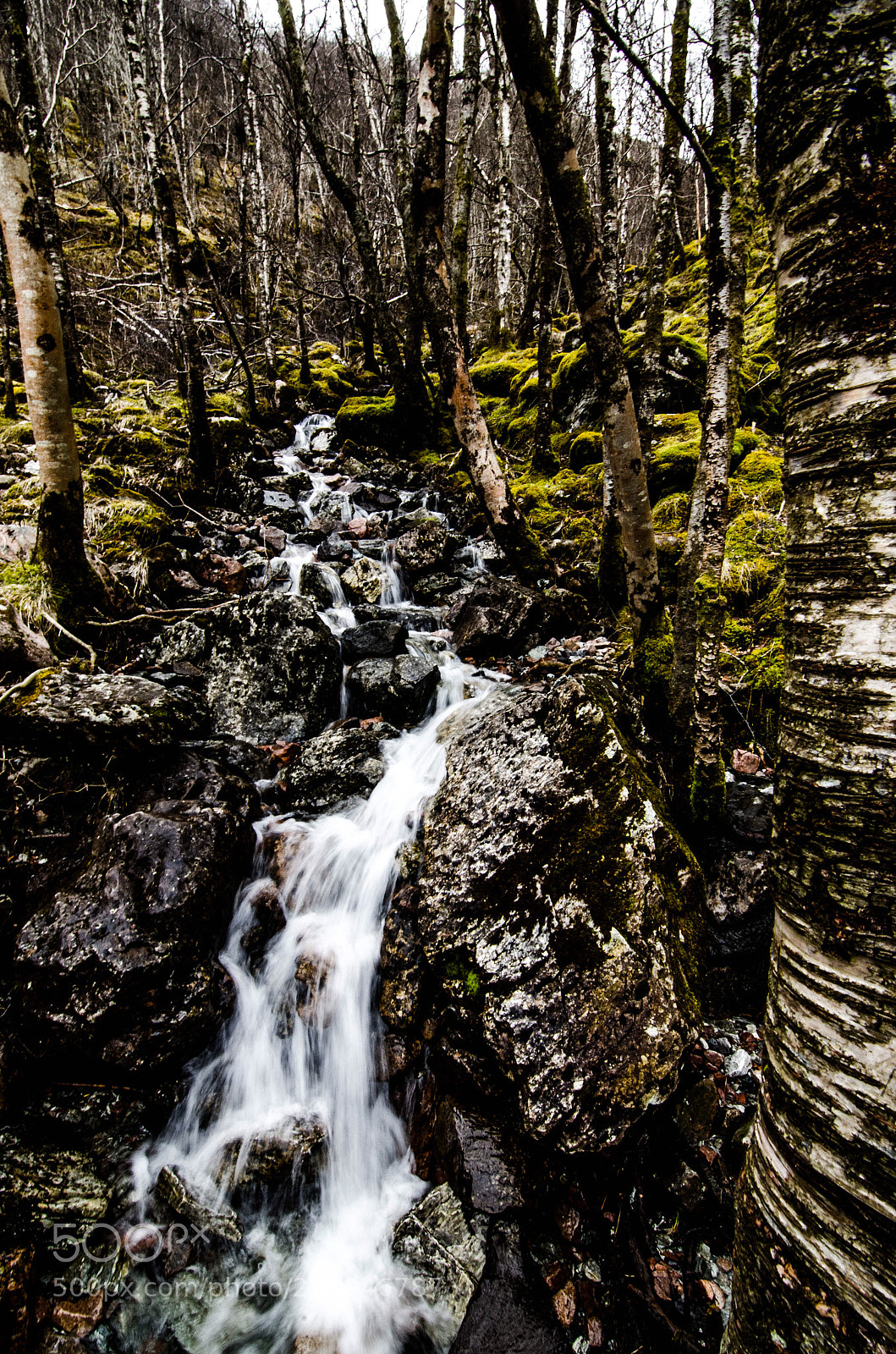 Nikon D7000 sample photo. Flow photography