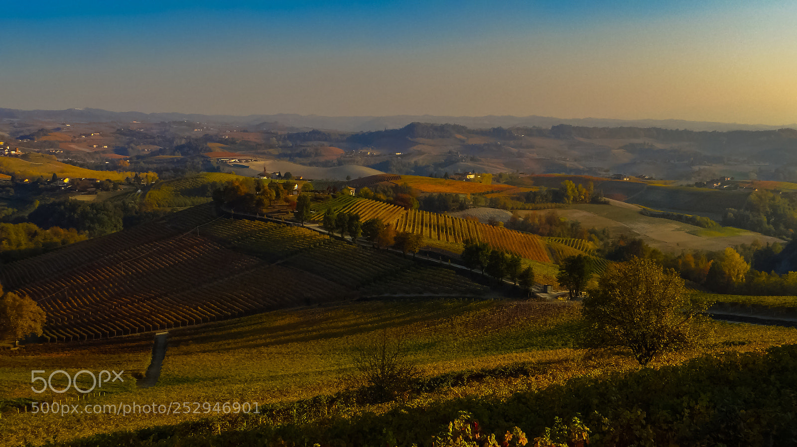 Sony DSC-HX200V sample photo. Barolo photography