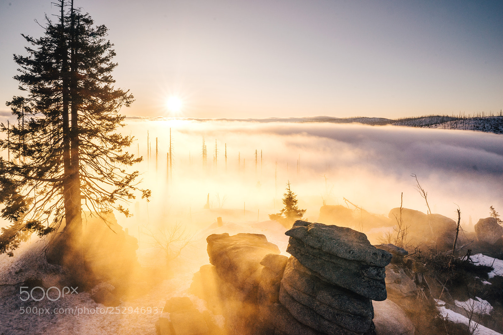 Sony a7R sample photo. Magic sumava photography