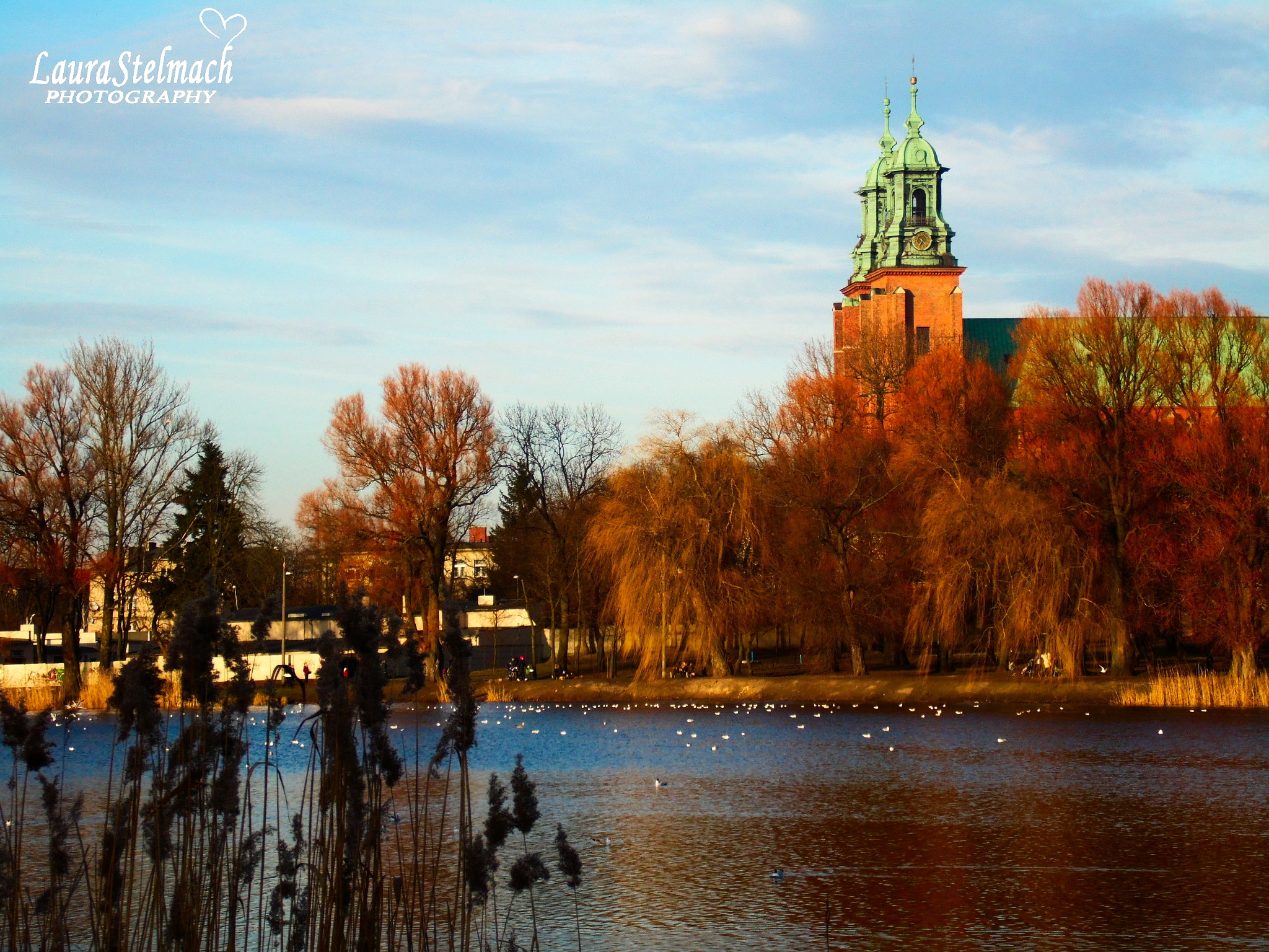 Samsung WB110/  WB111 sample photo. Gniezno photography