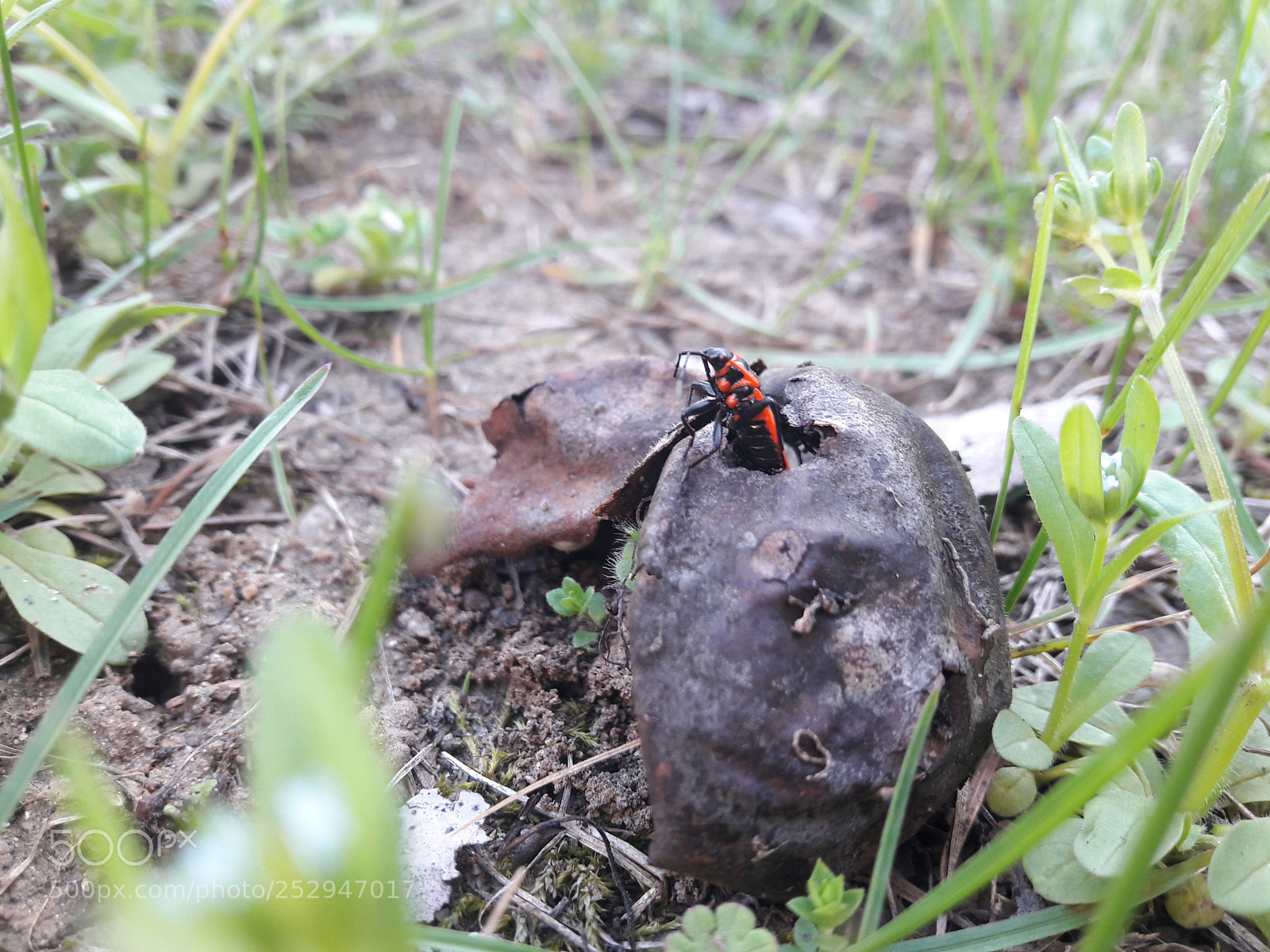 Samsung Galaxy A5(2016) sample photo. Untitled photography