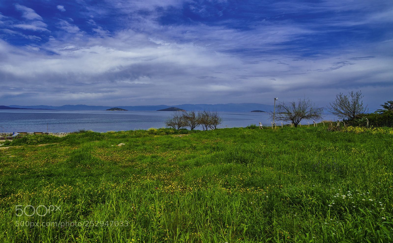 Sony a7R II sample photo. Spring (viii)... photography