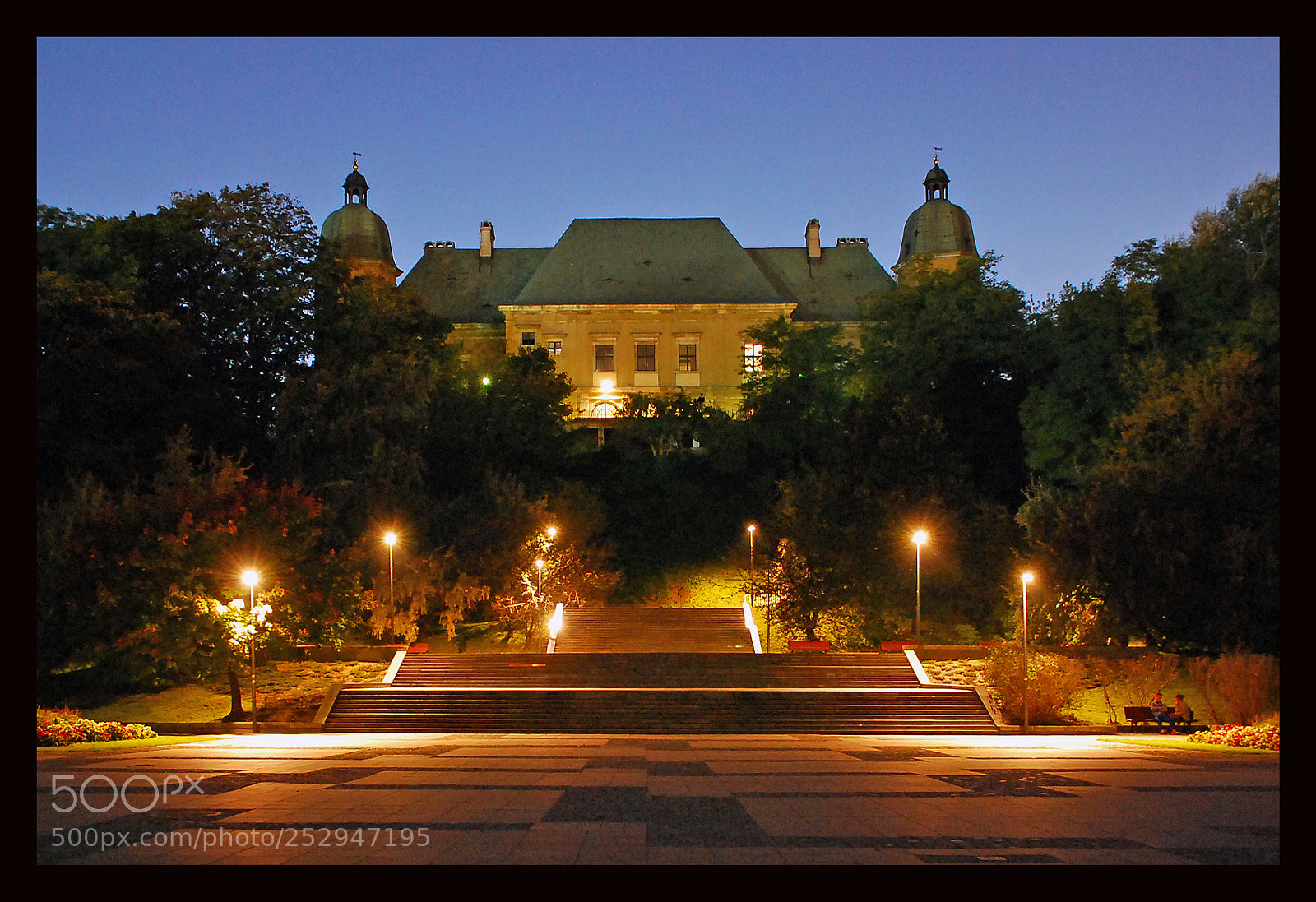 Nikon D80 sample photo. Castle of warszawa photography