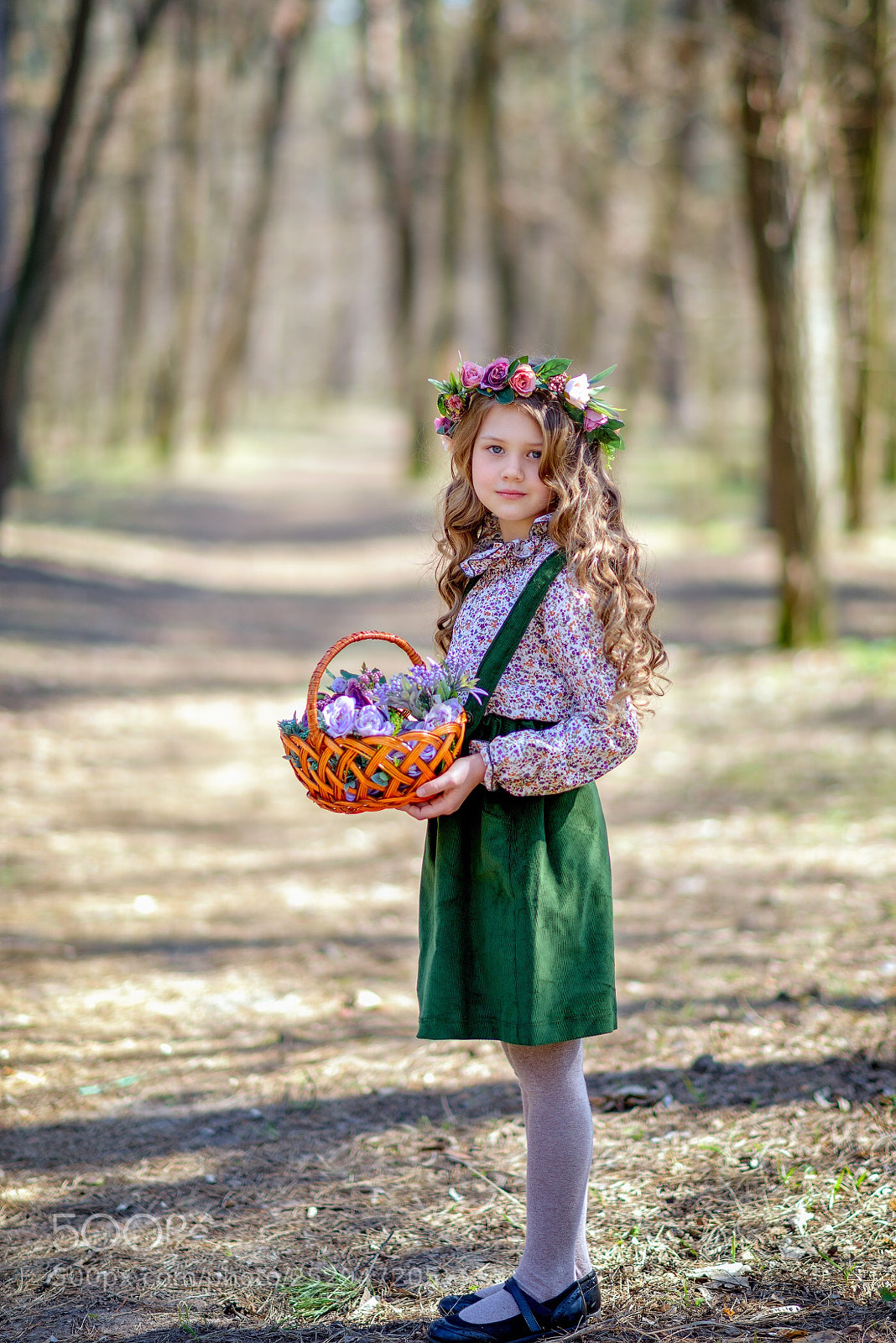 Nikon D810 sample photo. Untitled photography