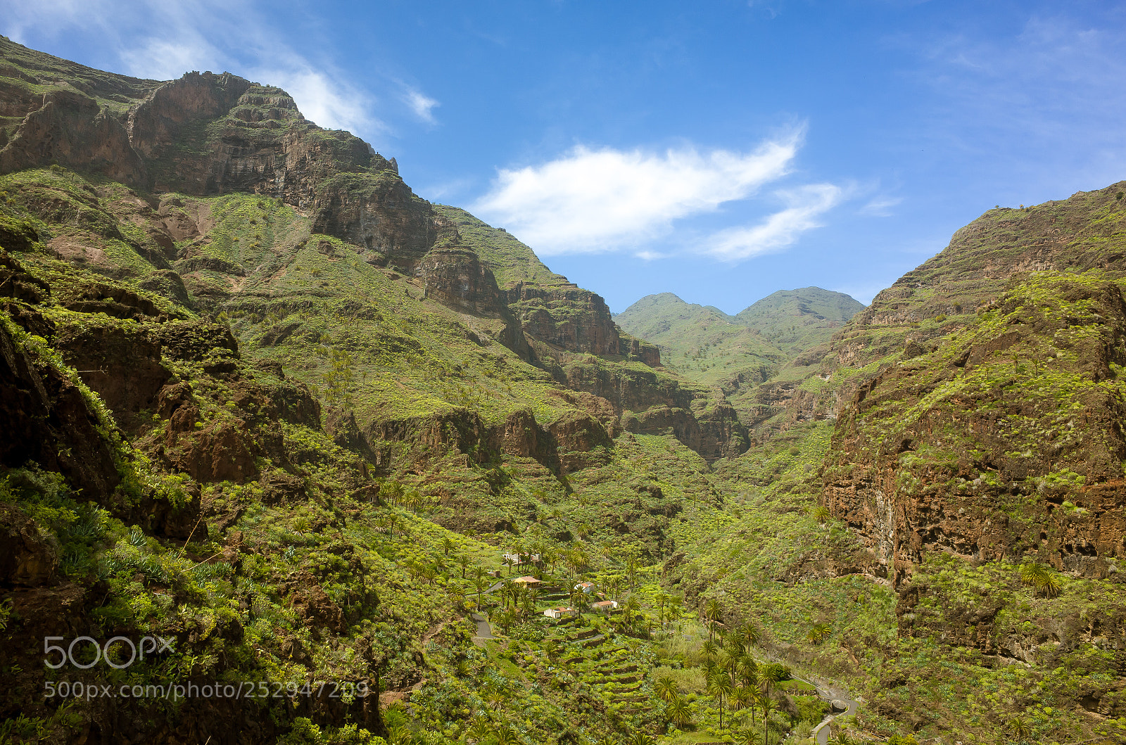 Ricoh GR sample photo. Barranco de guarimiar photography