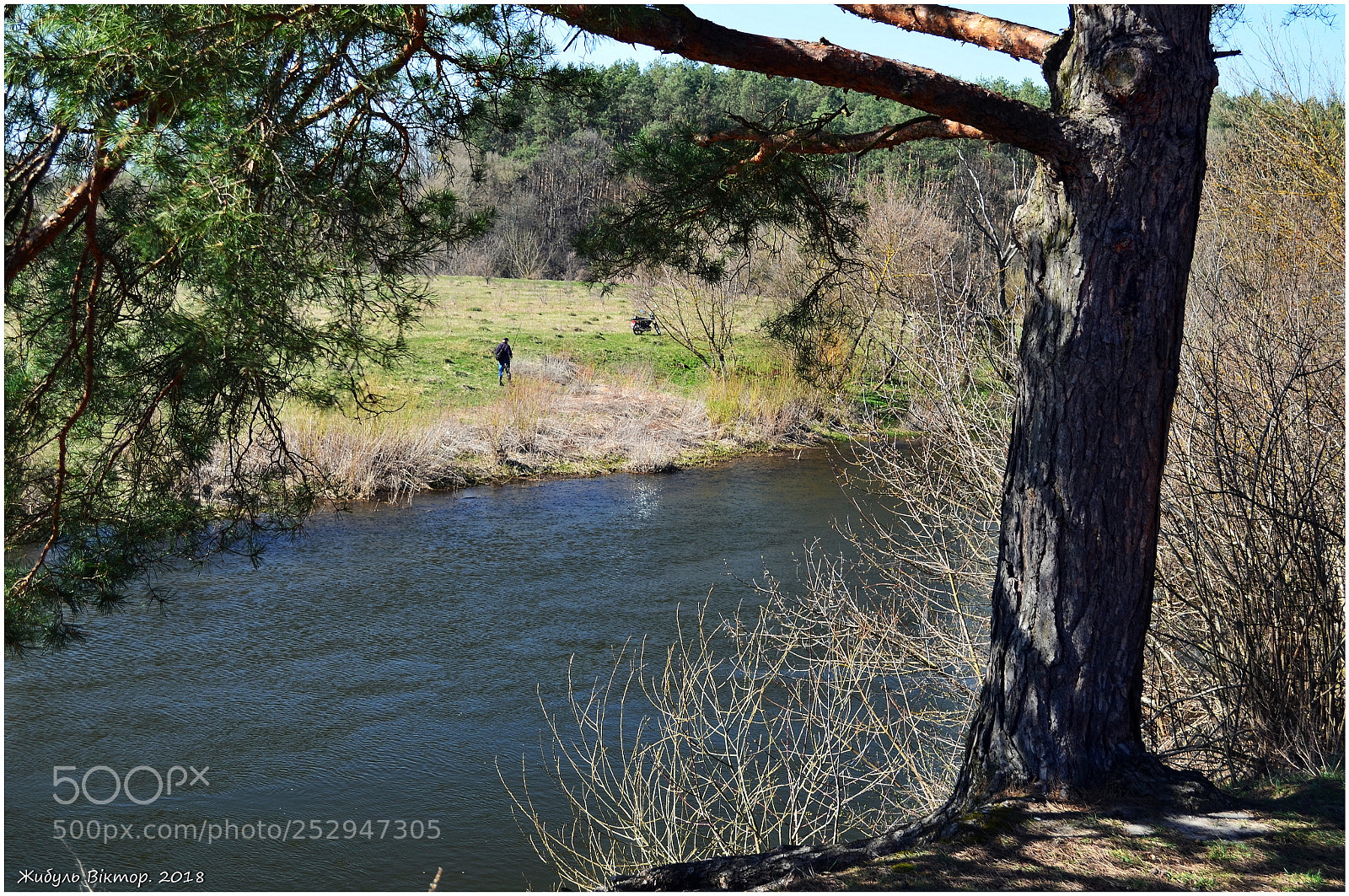 Nikon D5100 sample photo. Речка Горынь. 9 апреля 2018 г. photography