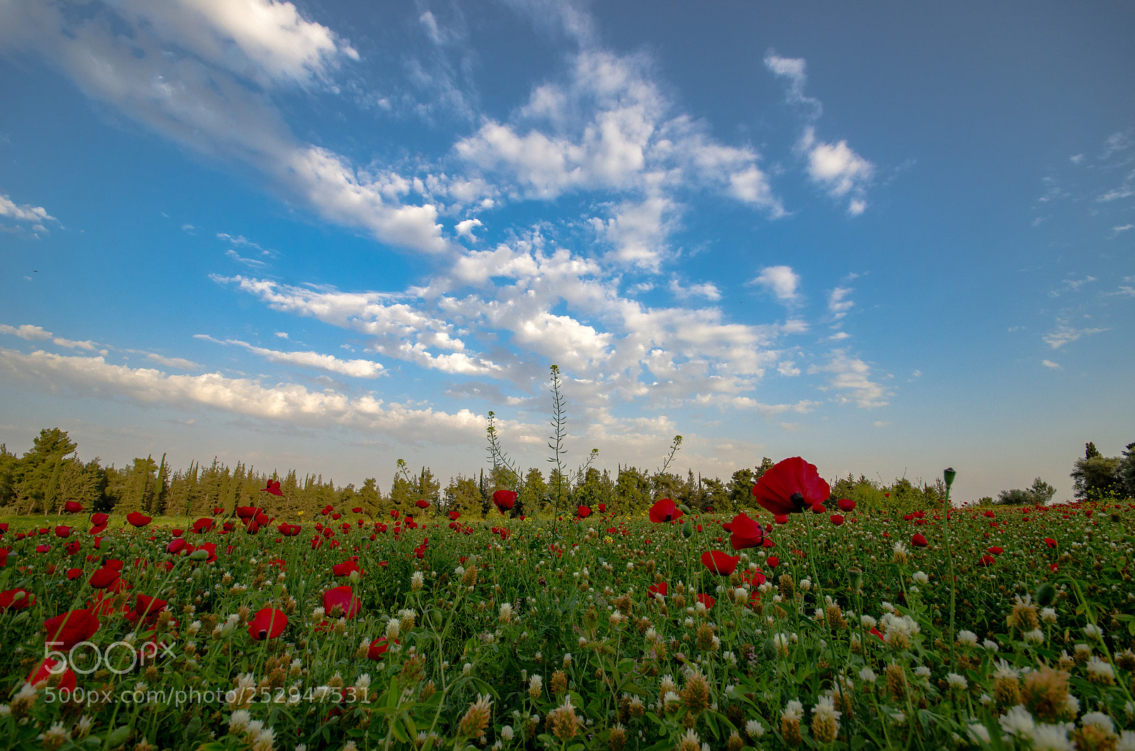 Nikon D7000 sample photo. Spring time photography