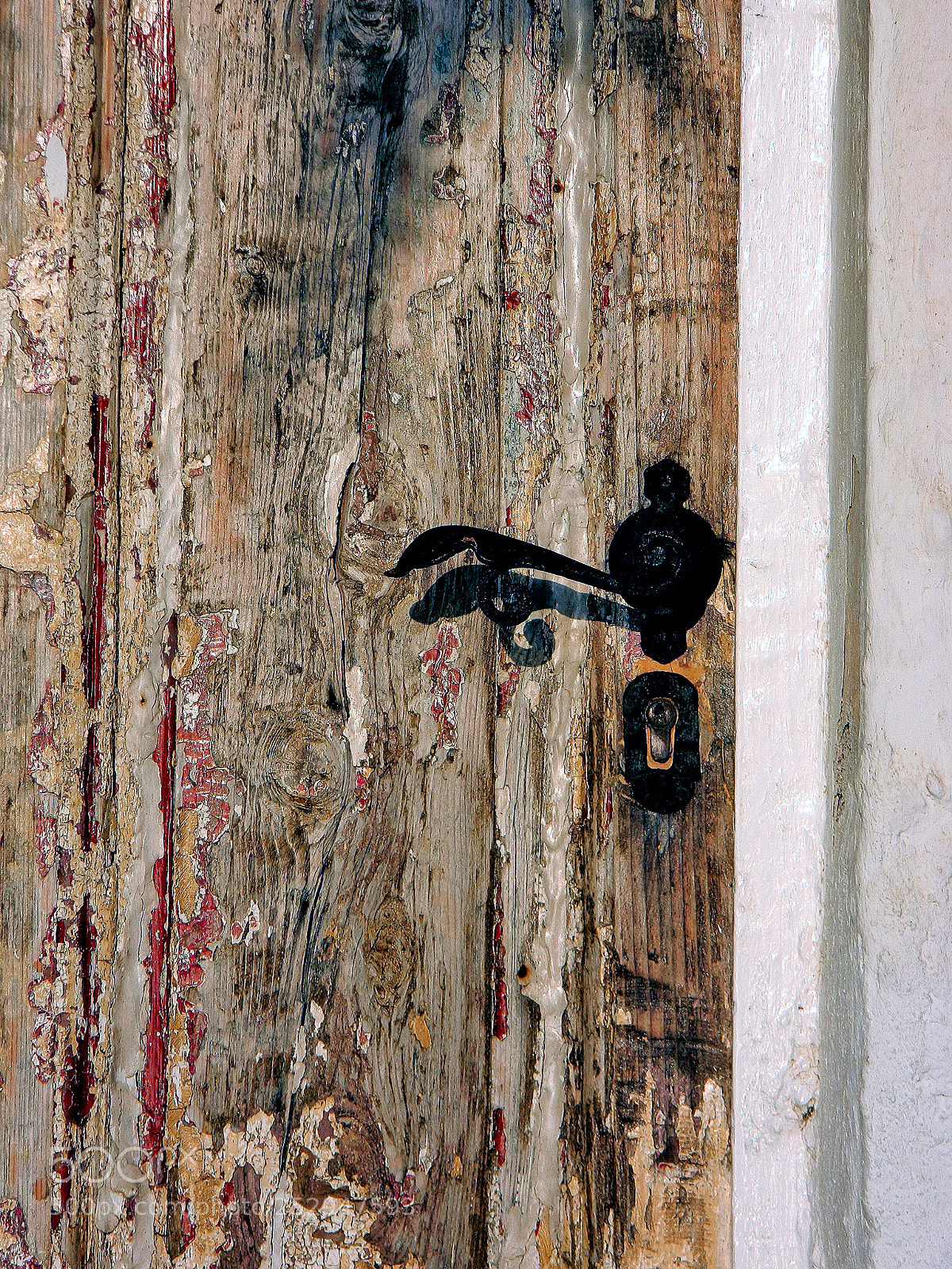 Nikon Coolpix L120 sample photo. Door s photography