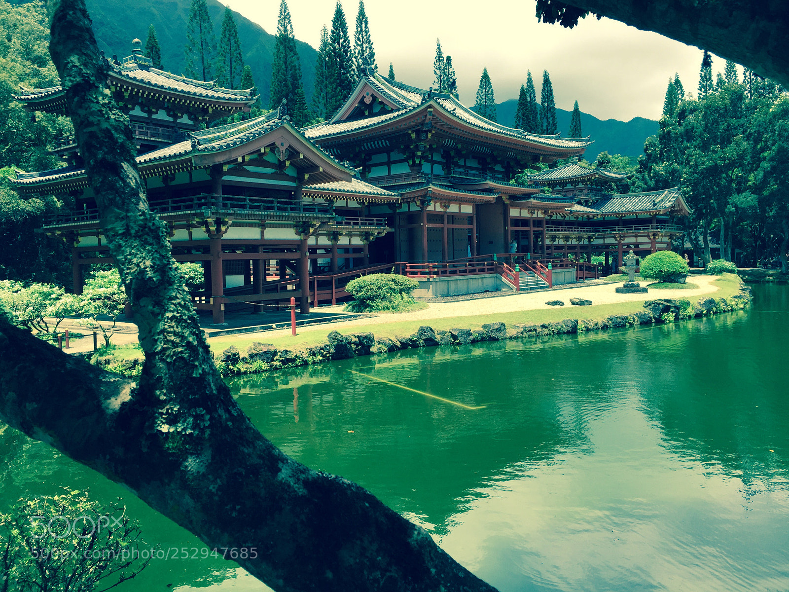 Apple iPhone 6 sample photo. Byodo-in temple photography