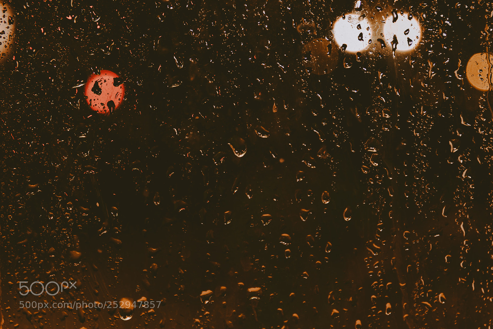 Canon EOS 80D sample photo. Rainy day photography