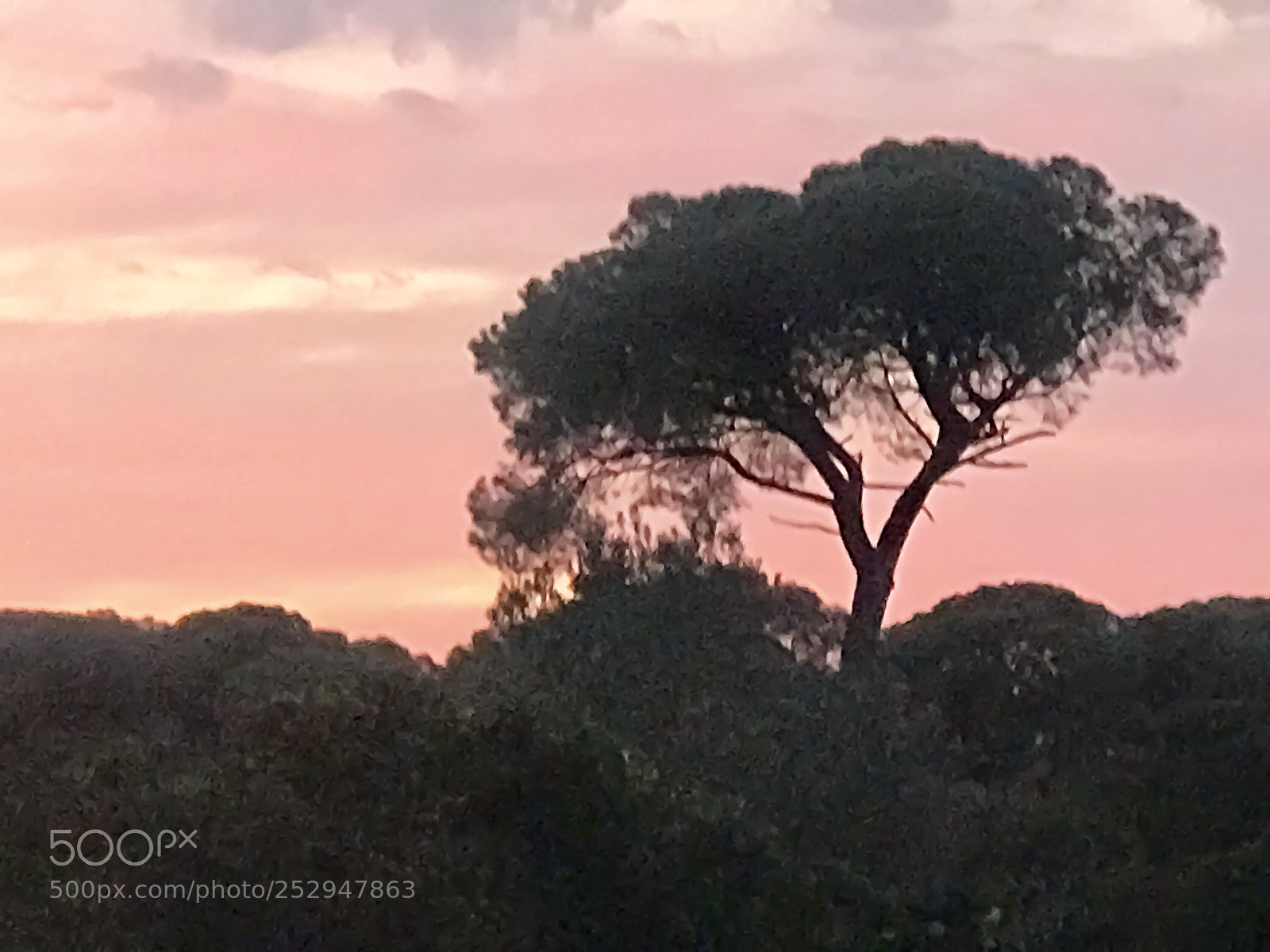 Apple iPhone 7 Plus sample photo. Last sunset  photography