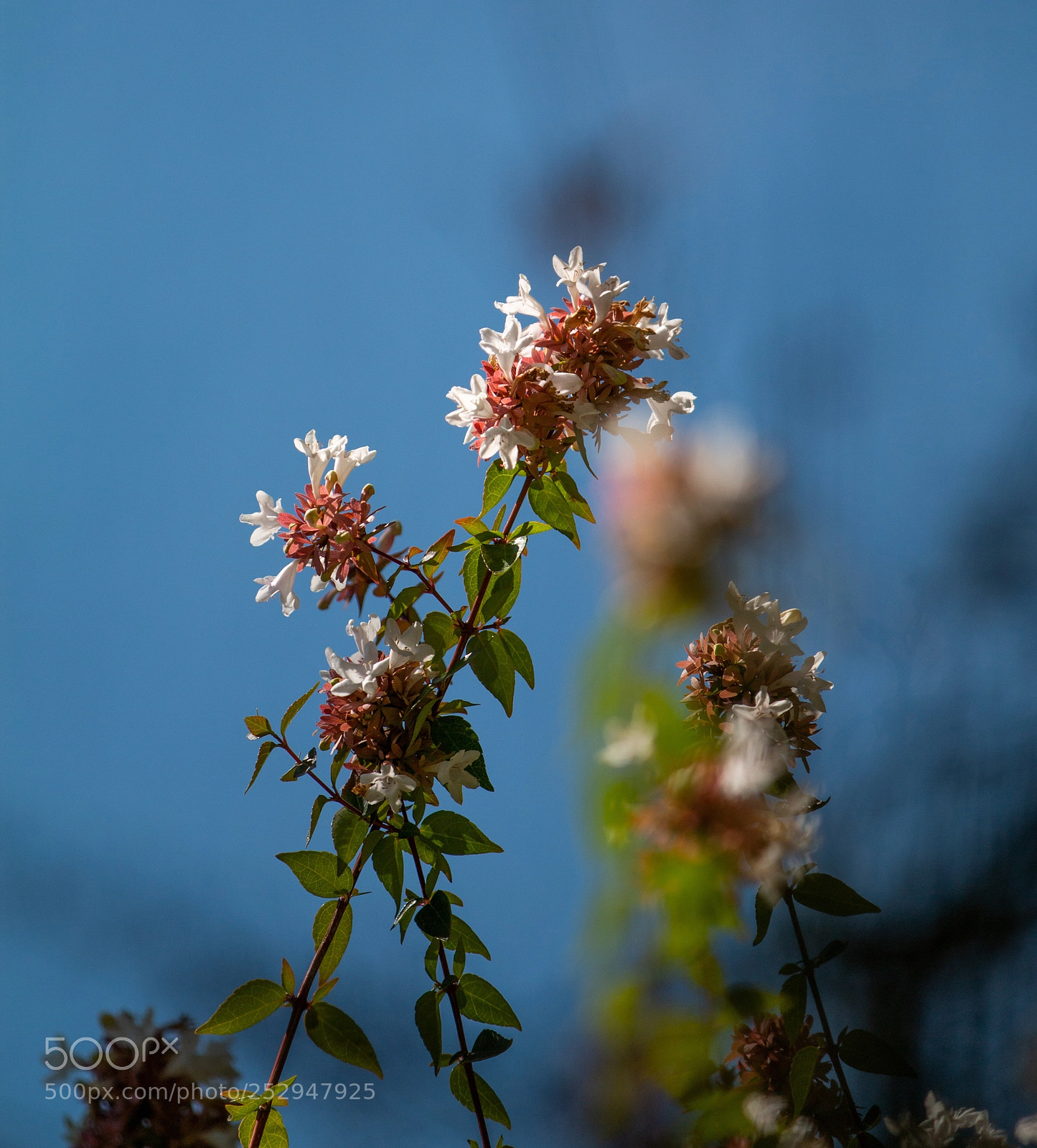 Canon EOS 70D sample photo. Untitled photography