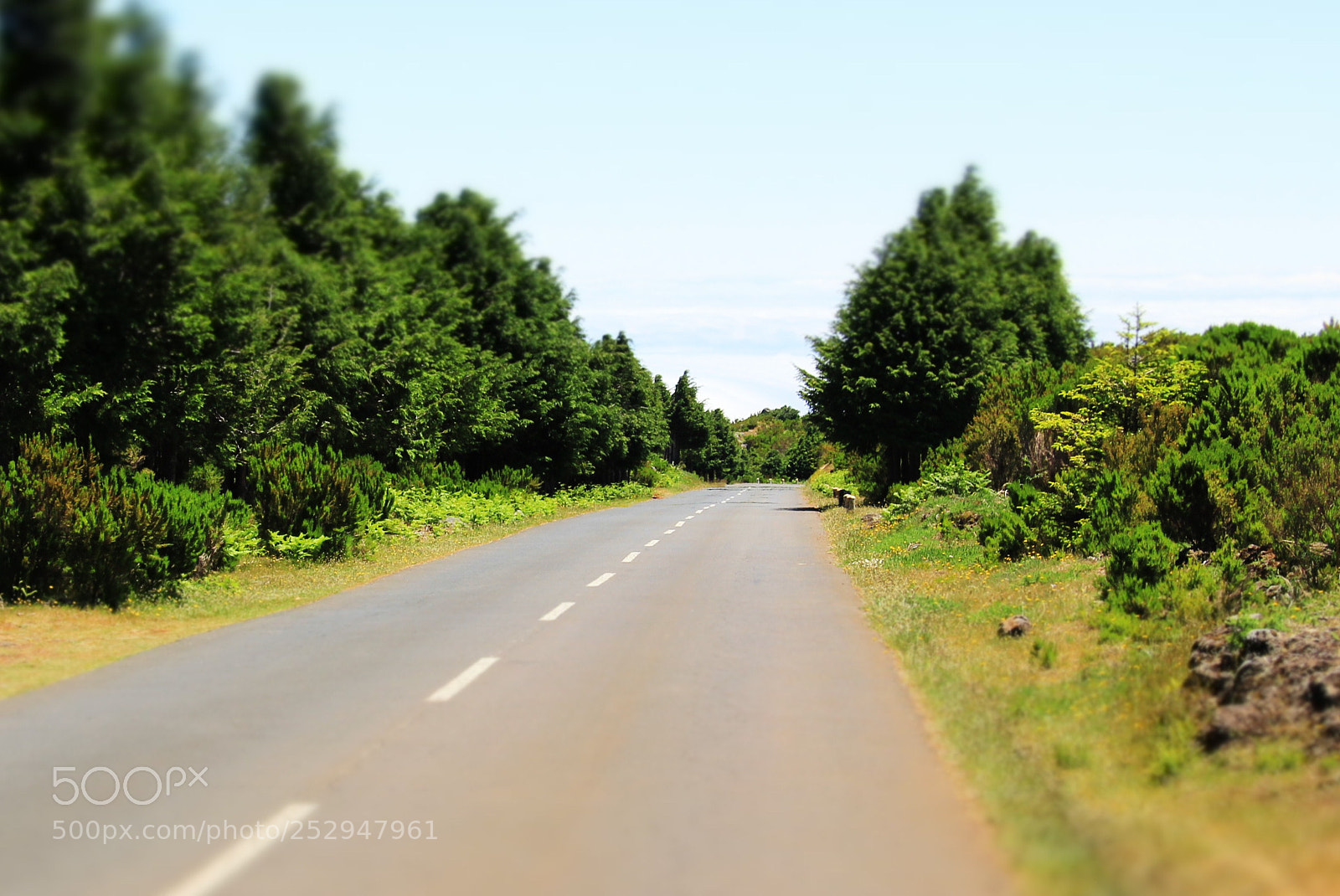 Canon EOS 60D sample photo. Img photography