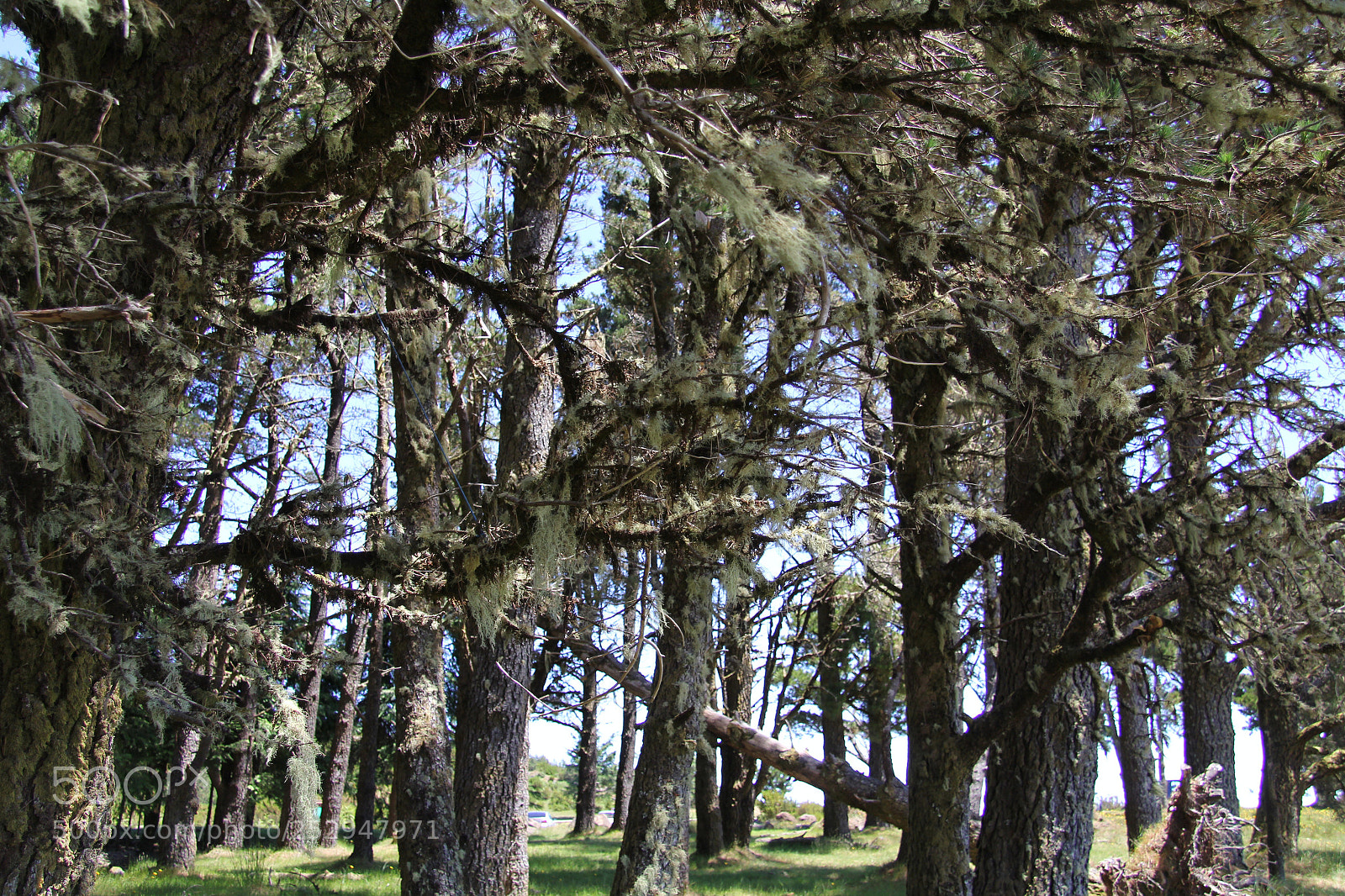 Canon EOS 60D sample photo. Img photography