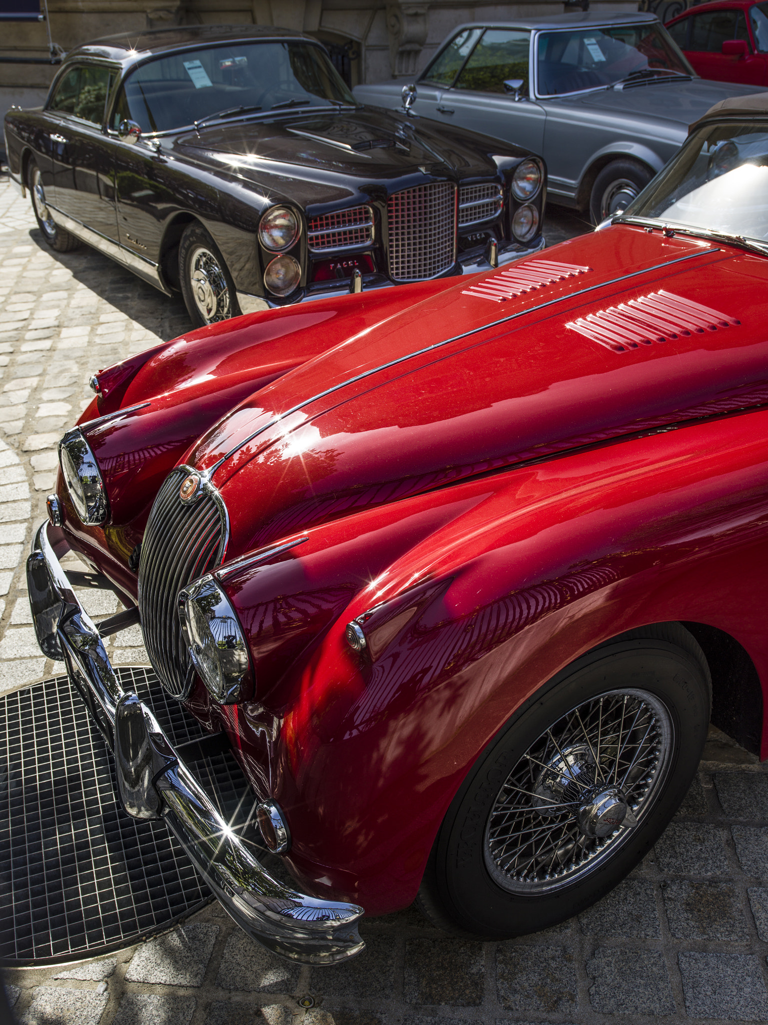 Hasselblad H6D sample photo. Spring in paris photography