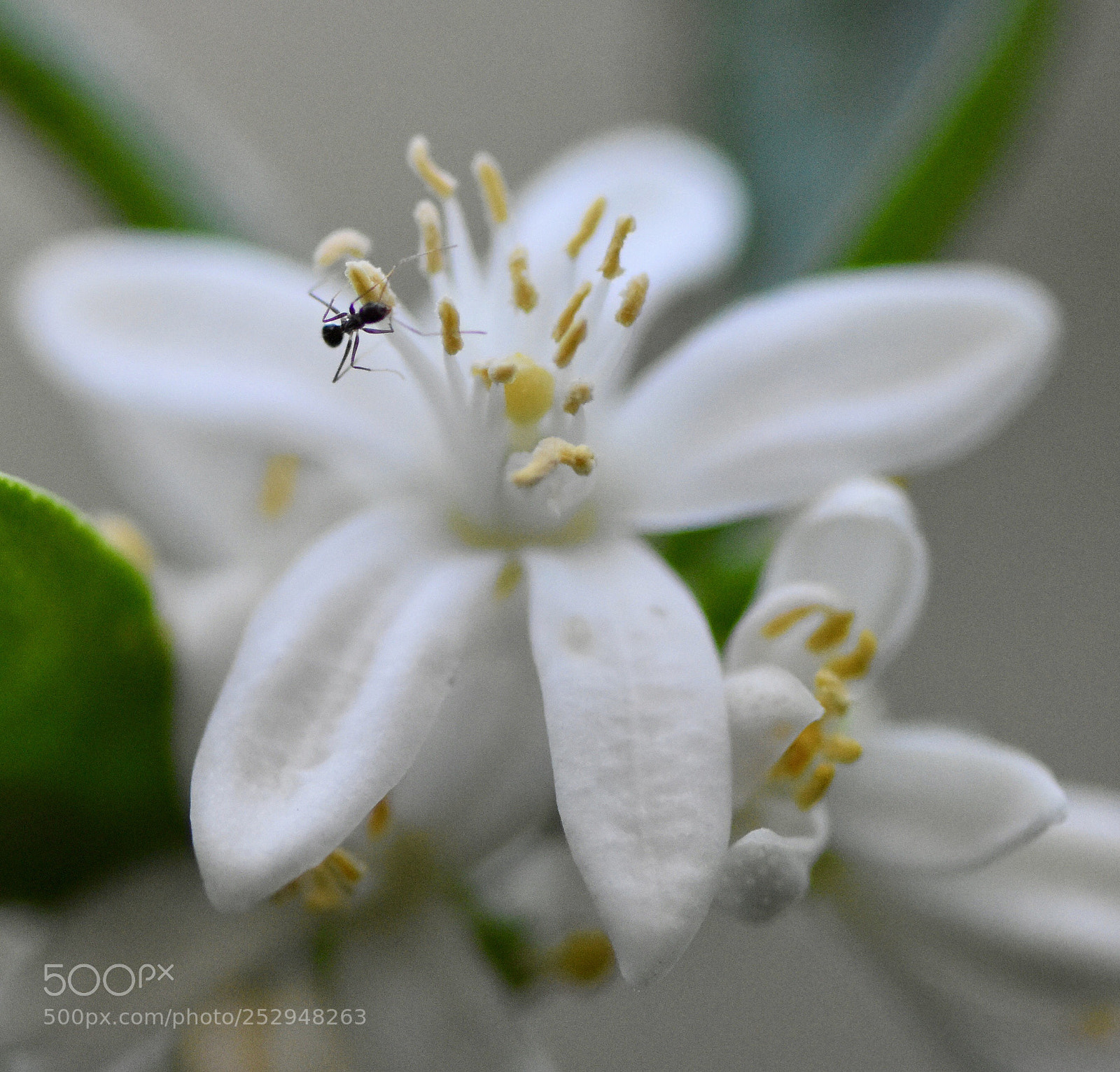 Nikon D5600 sample photo. Untitled photography