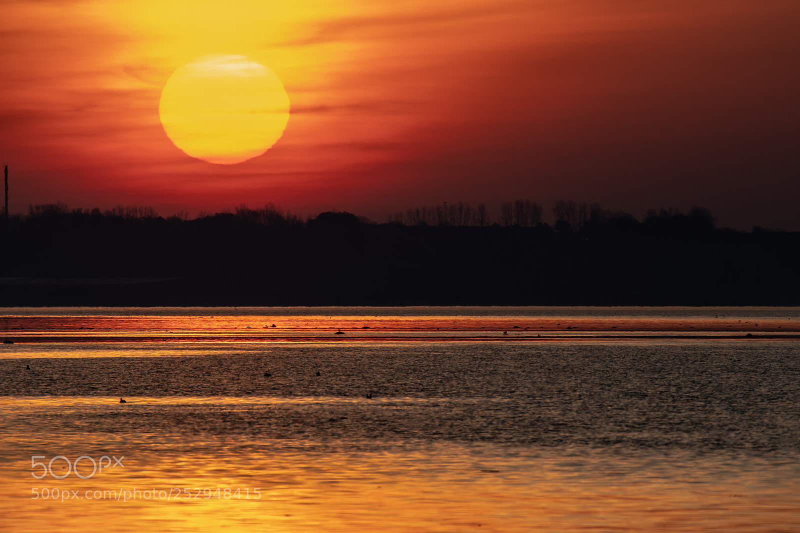 Nikon D500 sample photo. X photography