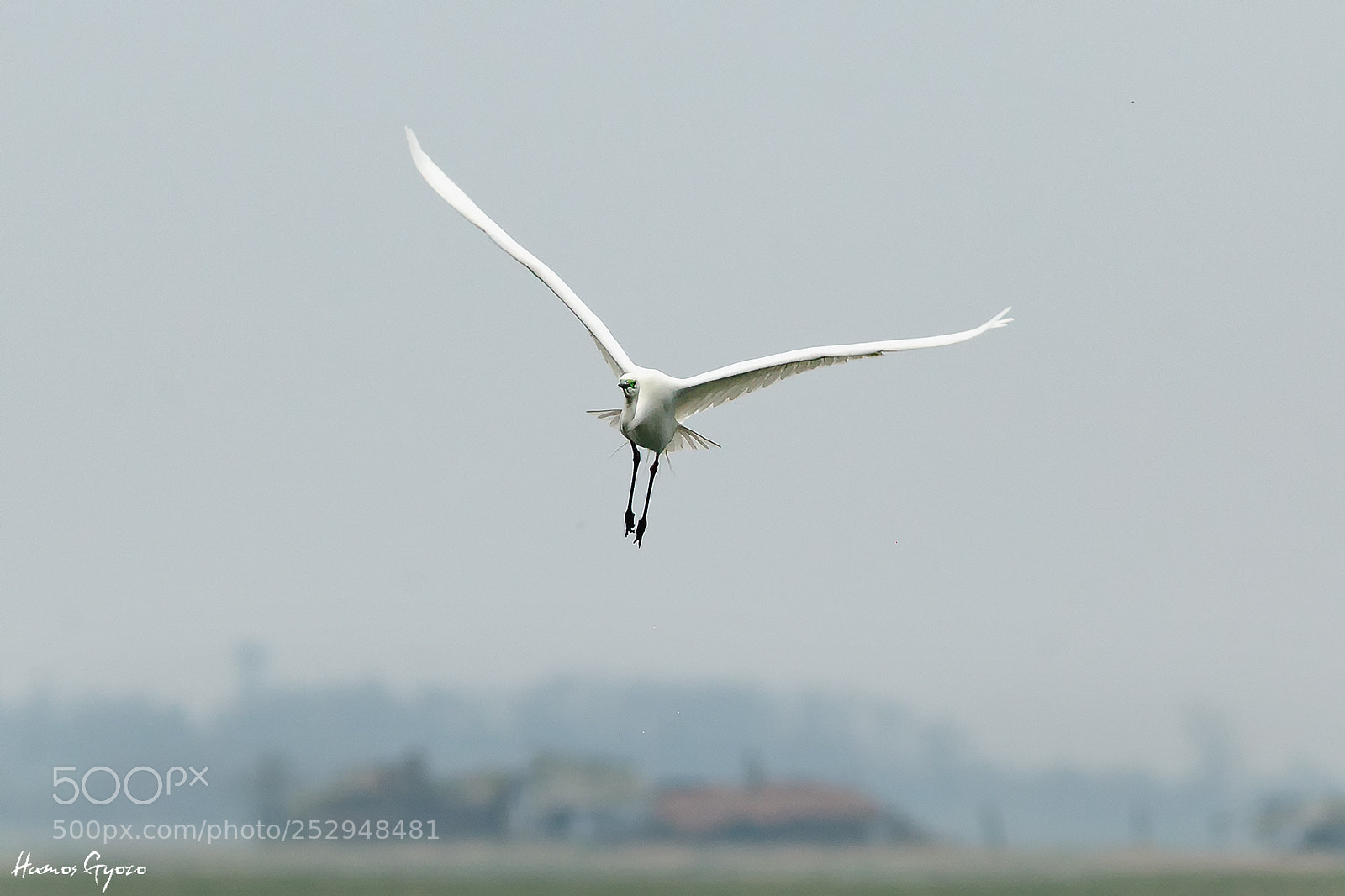 Canon EOS 5D Mark II sample photo. Landing photography