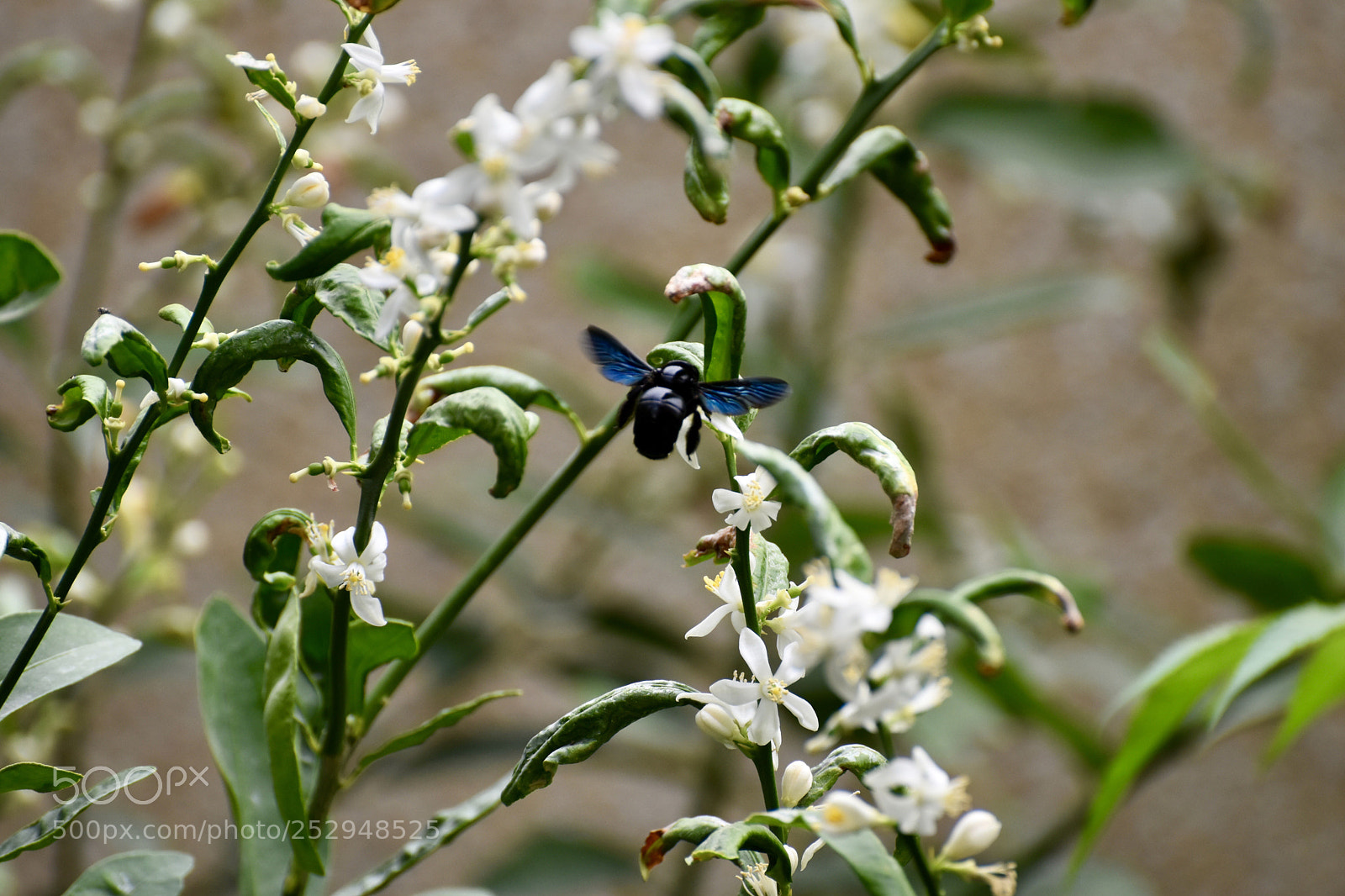 Nikon D5600 sample photo. Untitled photography