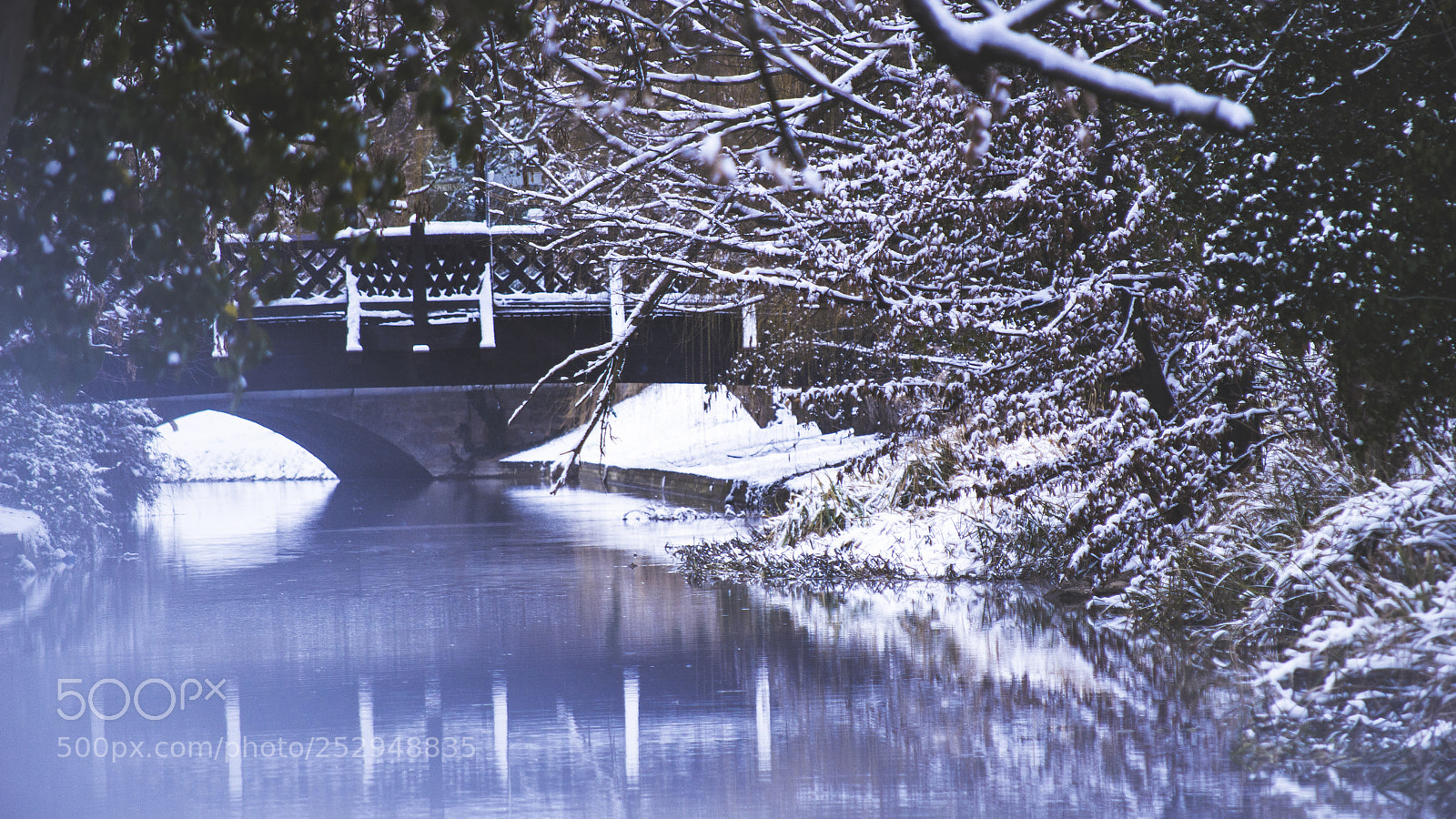Nikon D3200 sample photo. March photography