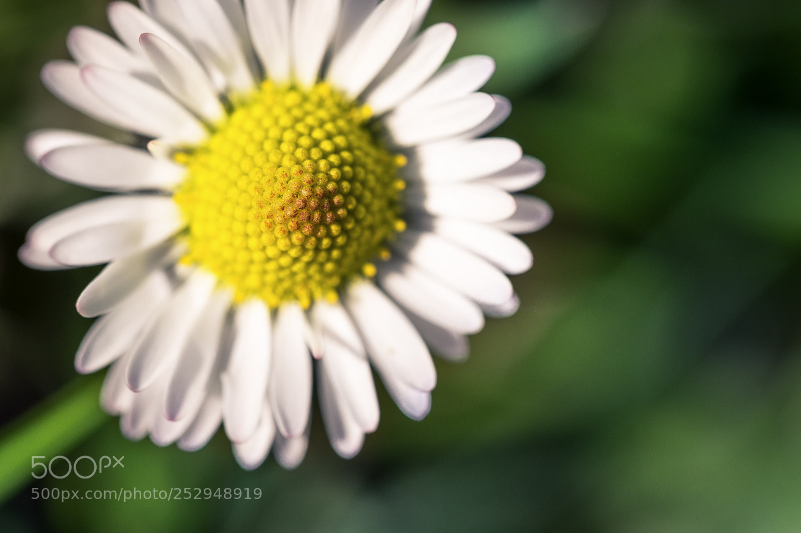 Fujifilm X-T1 sample photo. * photography