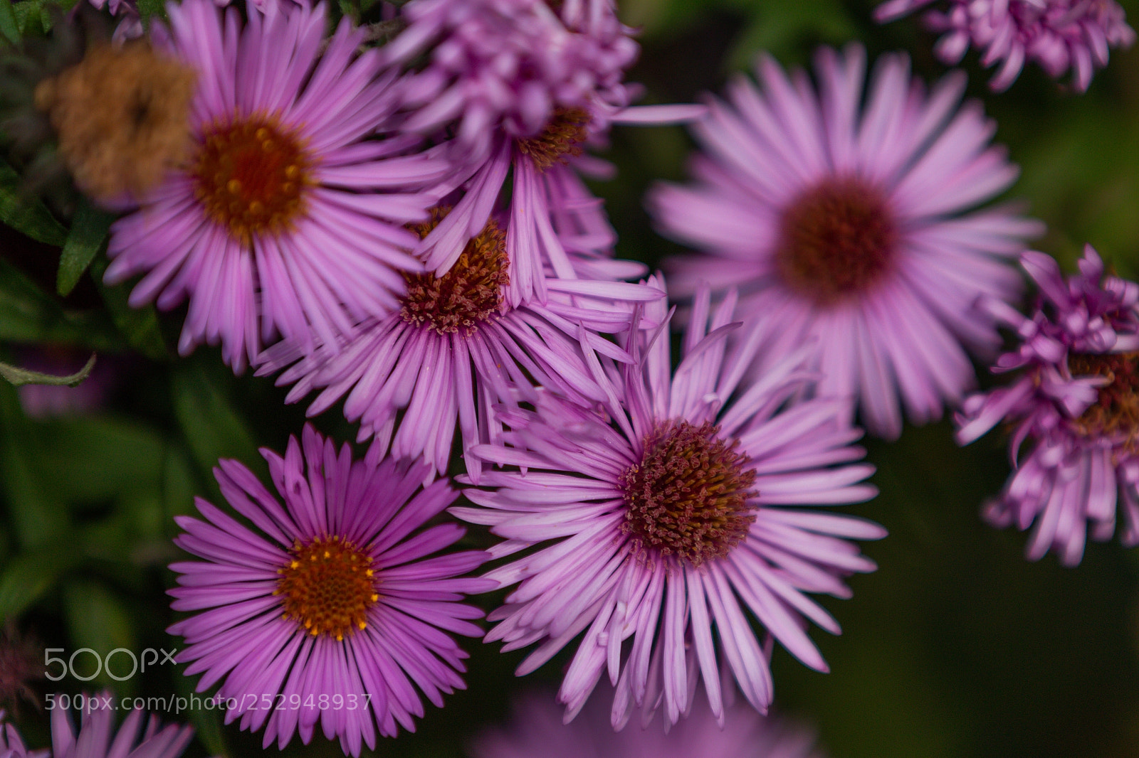 Canon EOS 70D sample photo. Untitled photography