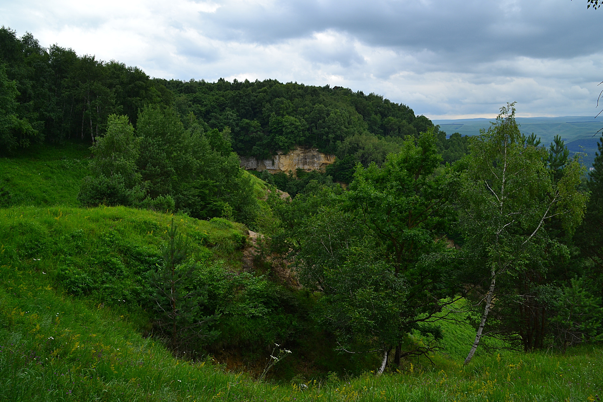 Nikon D3100 sample photo. Lush emerald summit photography