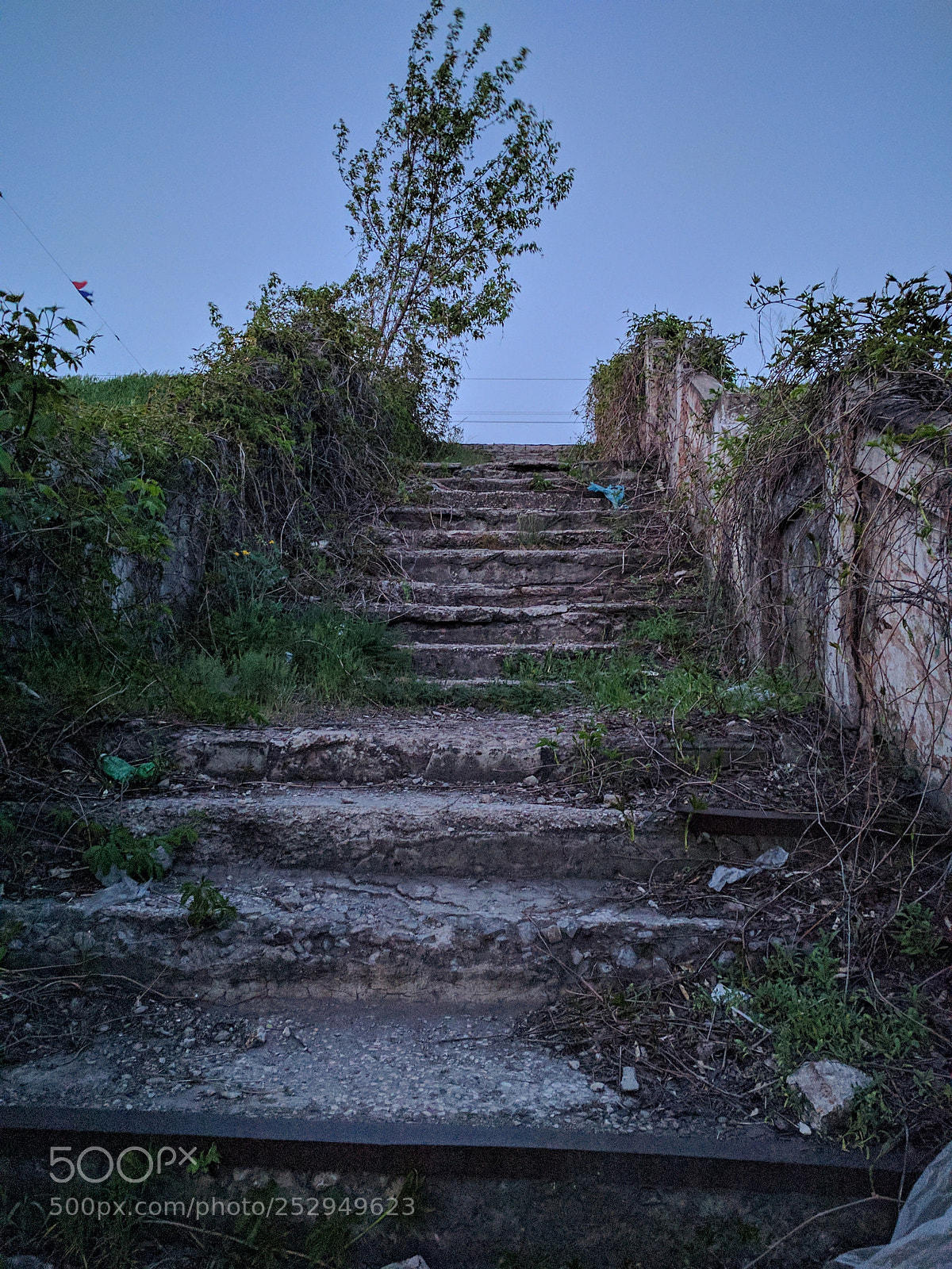LG Nexus 5X sample photo. Untitled photography