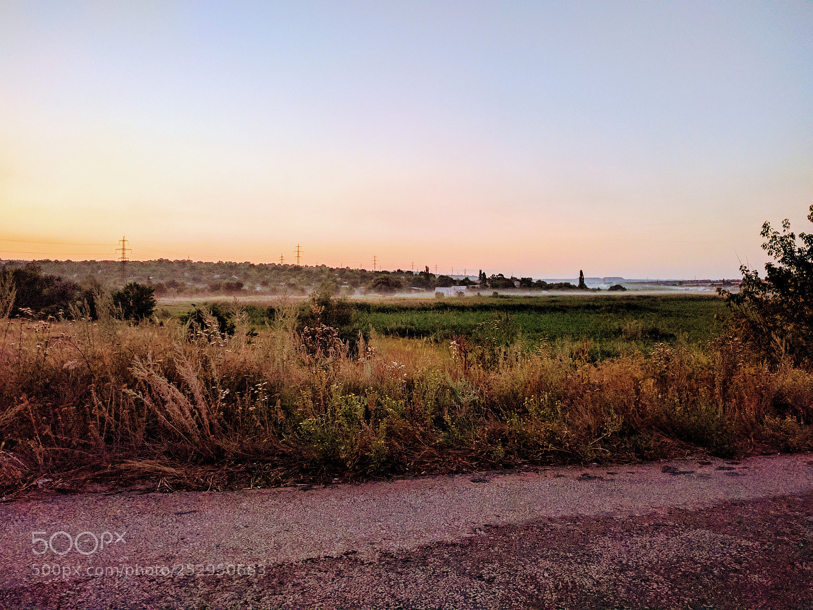 LG Nexus 5X sample photo. Untitled photography
