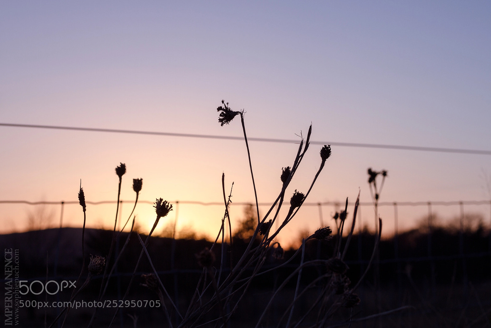 Canon EOS 7D sample photo. Sunset at dunvegan photography