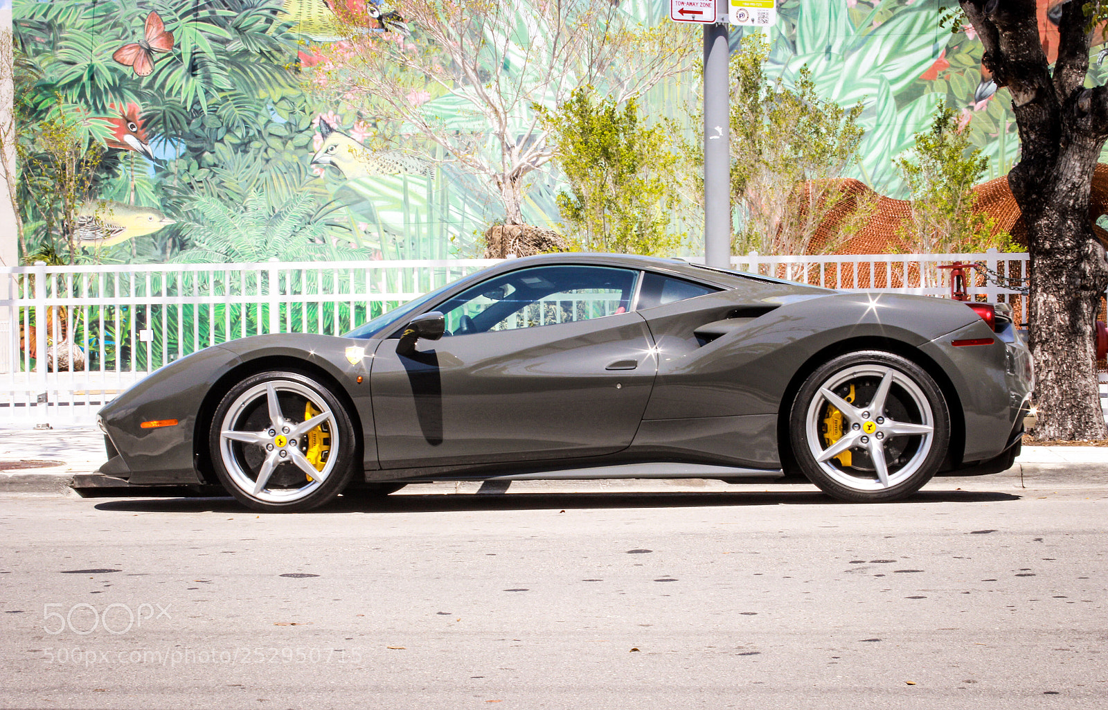 Canon EOS 600D (Rebel EOS T3i / EOS Kiss X5) sample photo. Ferrari photography