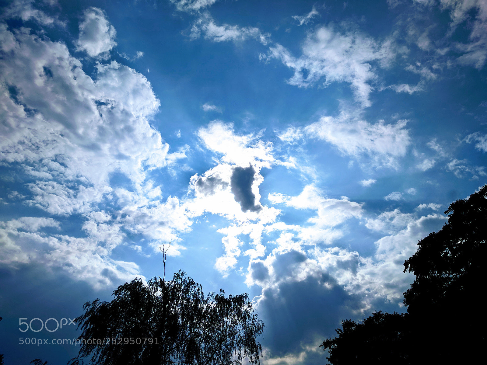 LG Nexus 5X sample photo. Untitled photography
