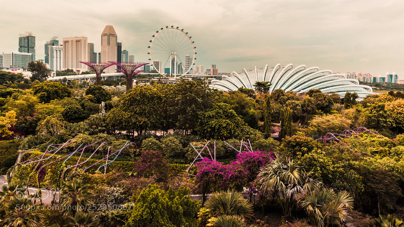 Nikon D800 sample photo. Singapore - flower dome photography