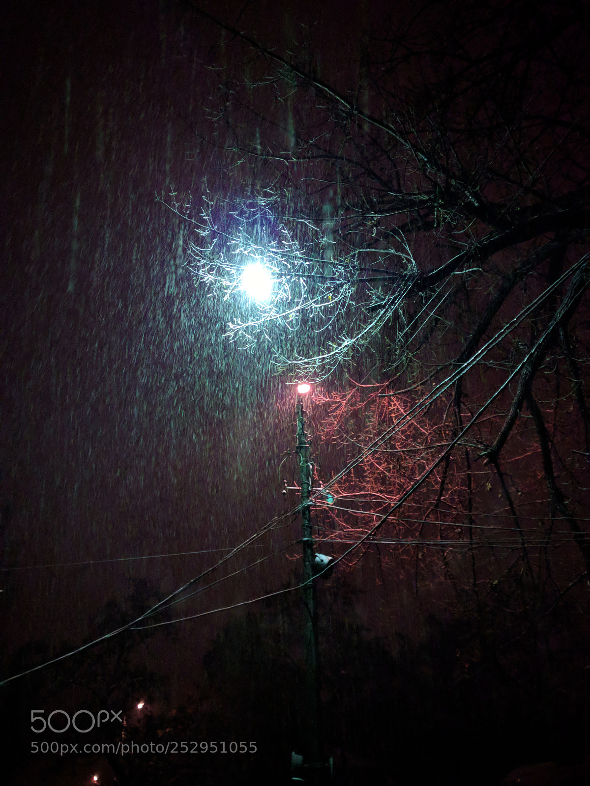 LG Nexus 5X sample photo. Untitled photography