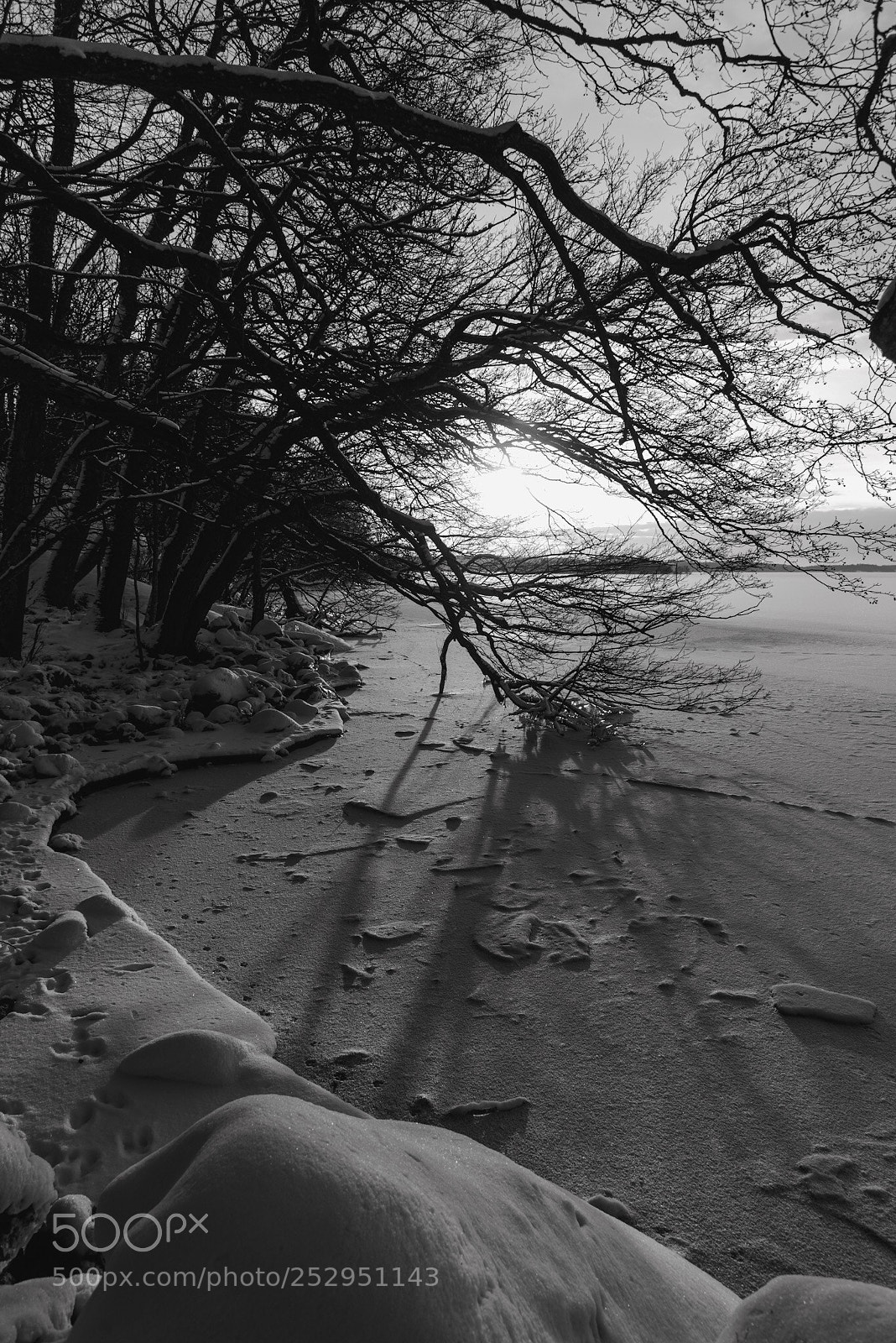 Nikon D610 sample photo. Memories of winter photography