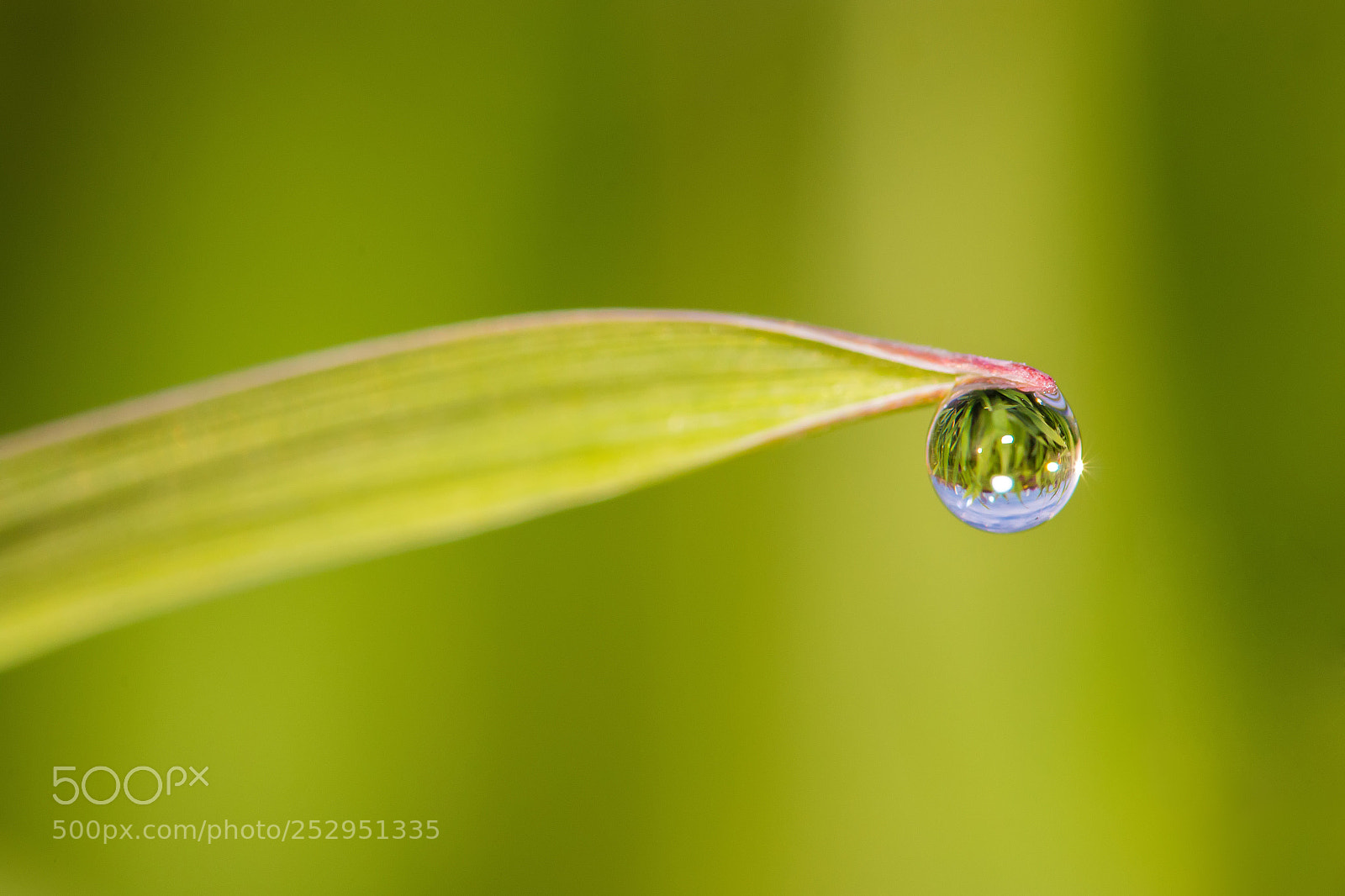 Canon EOS 70D sample photo. Water drop 6 photography