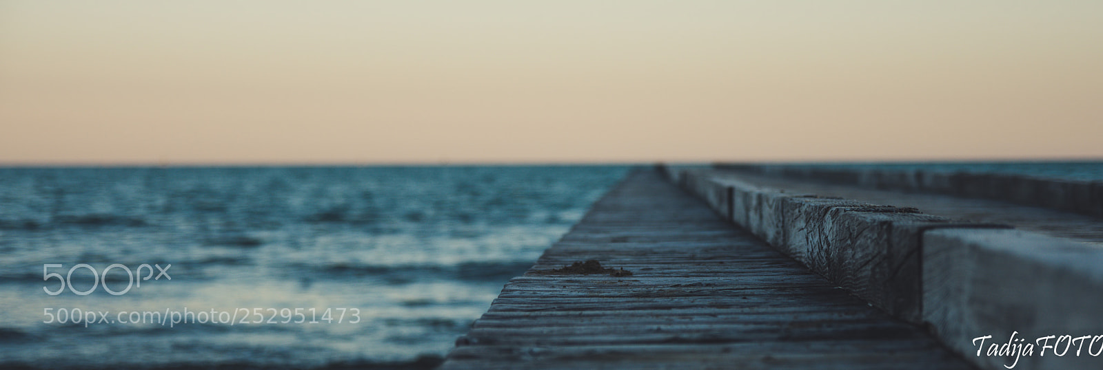 Nikon D7200 sample photo. Dsc photography