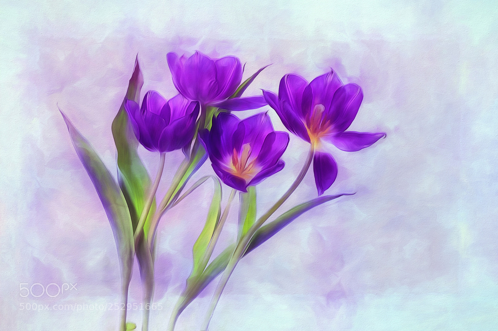 Canon EOS 5D Mark IV sample photo. Springtime photography